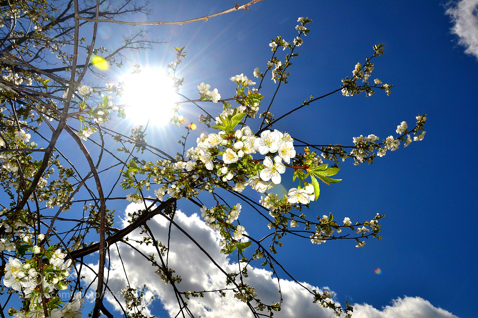 Nikon D3100 sample photo. Untitled photography