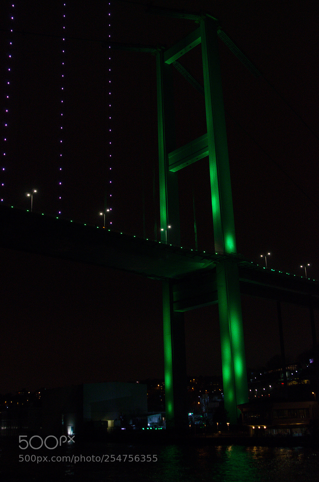 Nikon D7000 sample photo. Strong green light photography