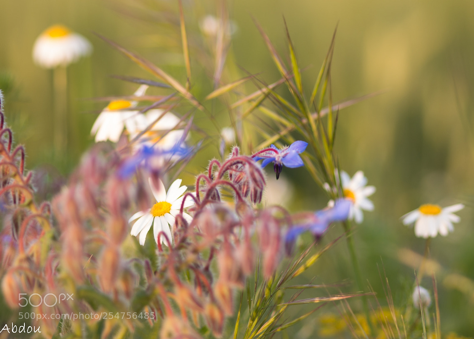 Canon EOS 70D sample photo. Untitled photography