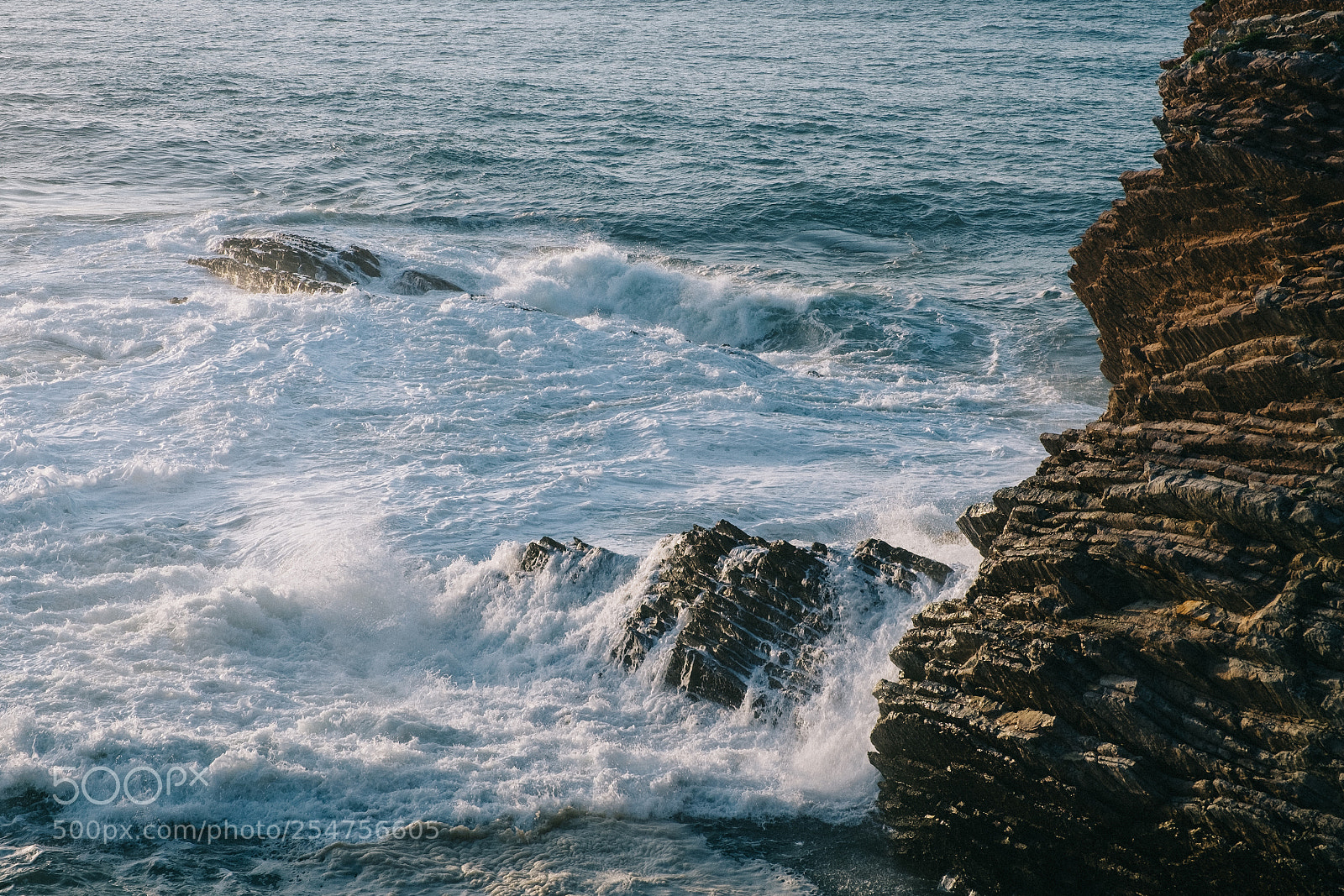 Fujifilm X-T10 sample photo. Algorri photography