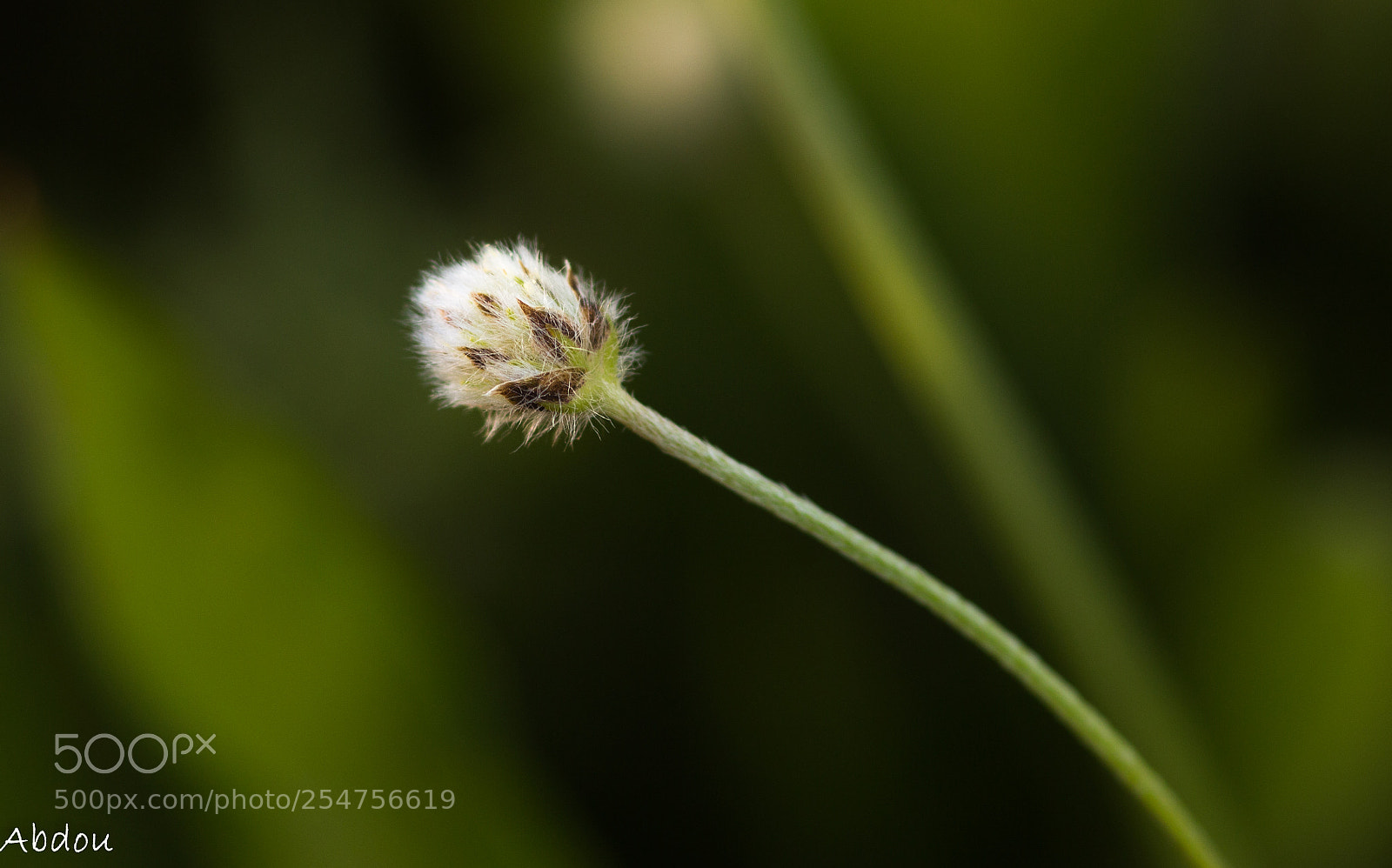 Canon EOS 70D sample photo. Untitled photography