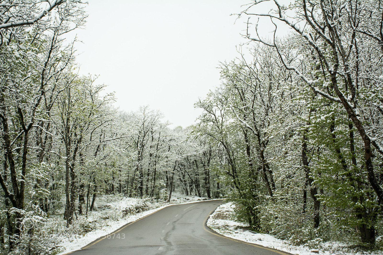 Nikon D7100 sample photo. April photography
