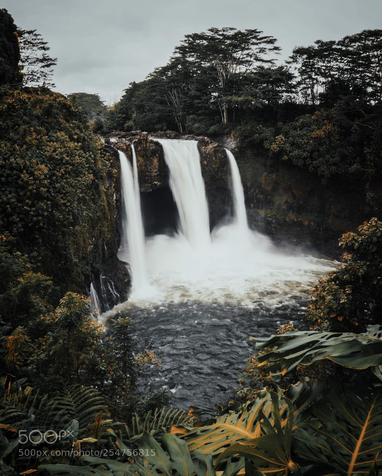 Sony a7R II sample photo. Happy earth day photography