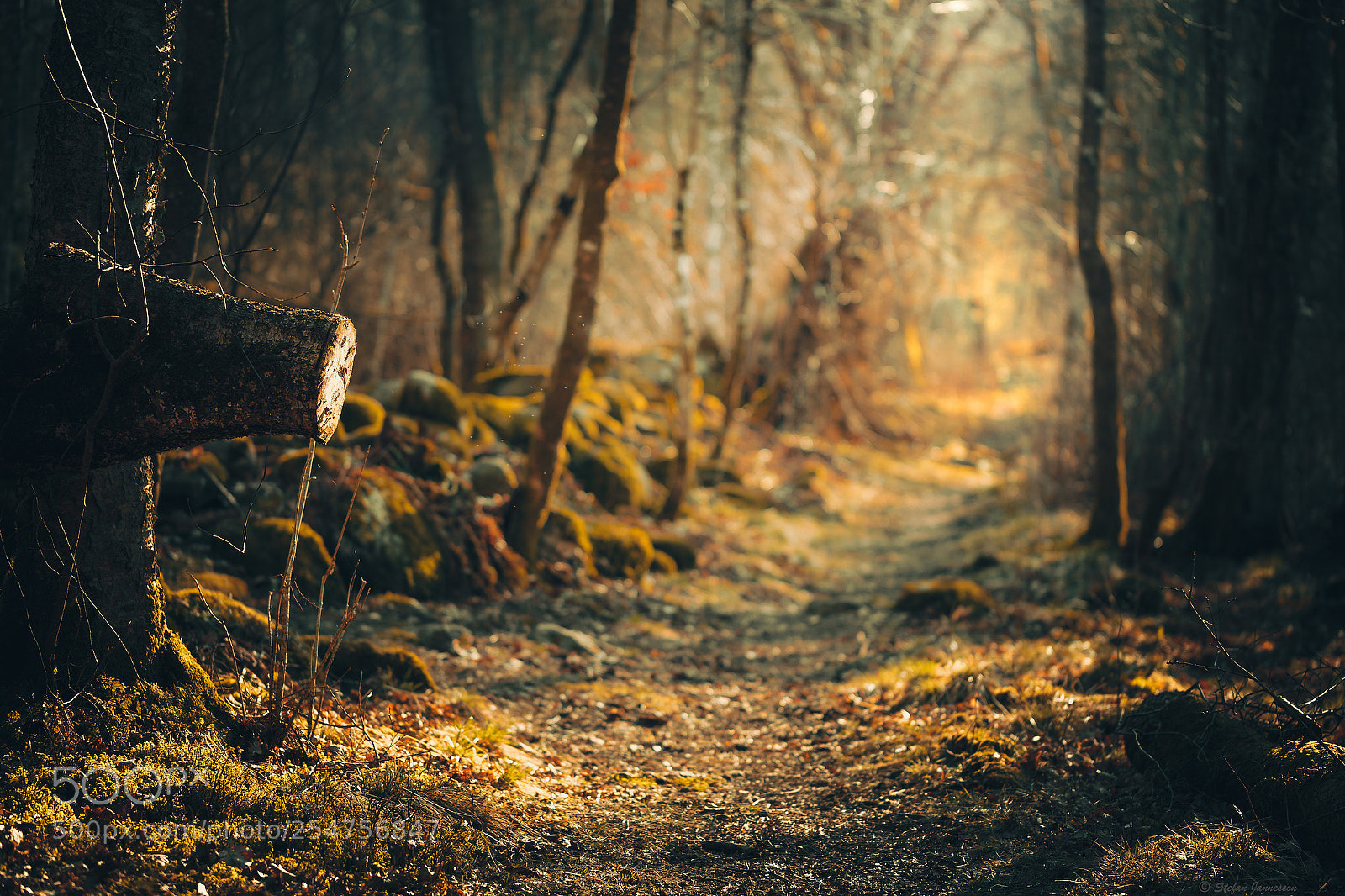 Canon EOS 5DS R sample photo. Psalm 18:40 photography