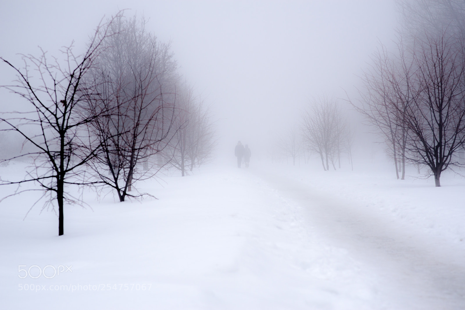 Nikon D610 sample photo. The last days of photography