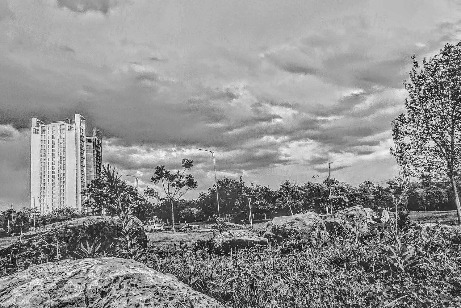 Sony Cyber-shot DSC-HX400V sample photo. Into the storm photography