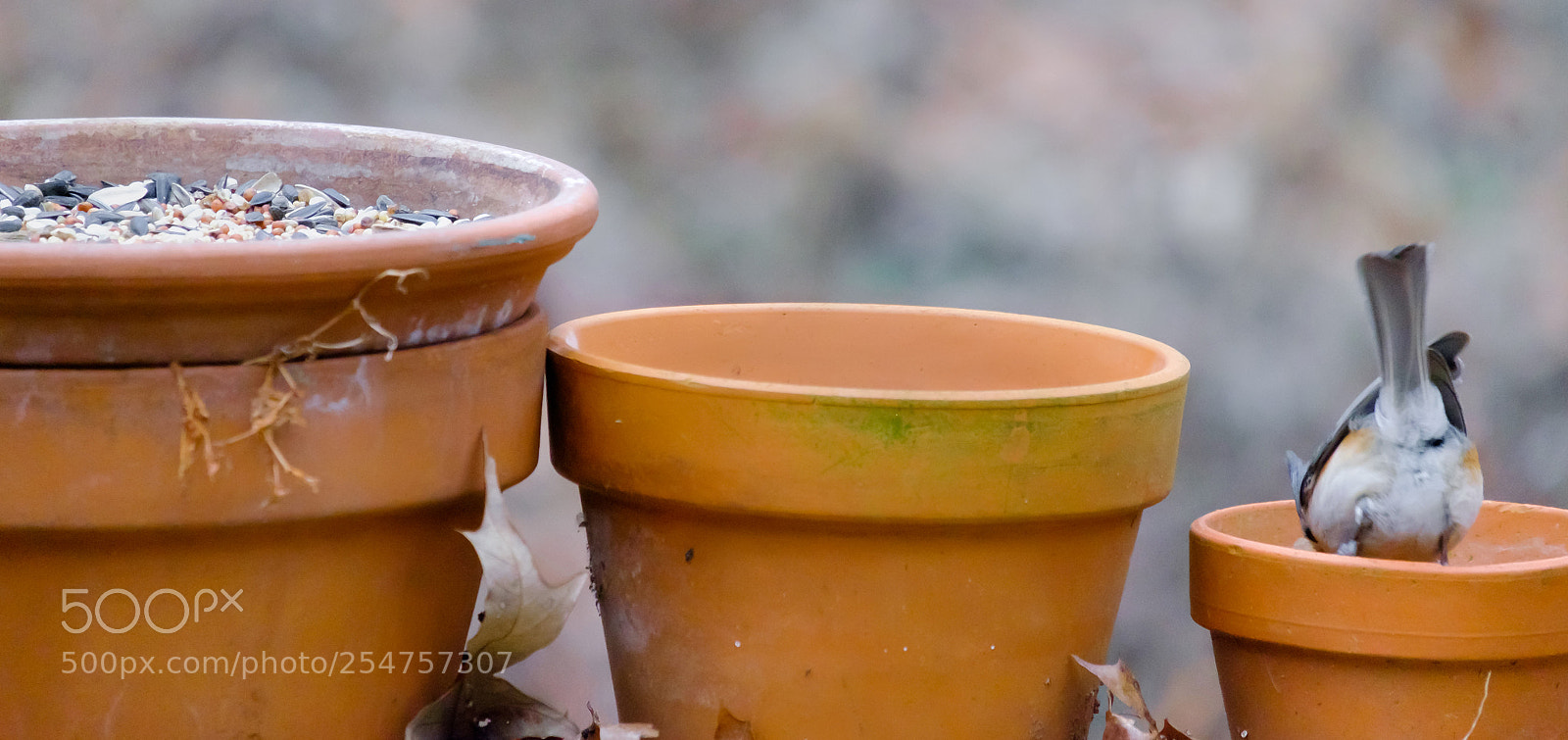 Fujifilm X-E2 sample photo. Isn't life always like photography