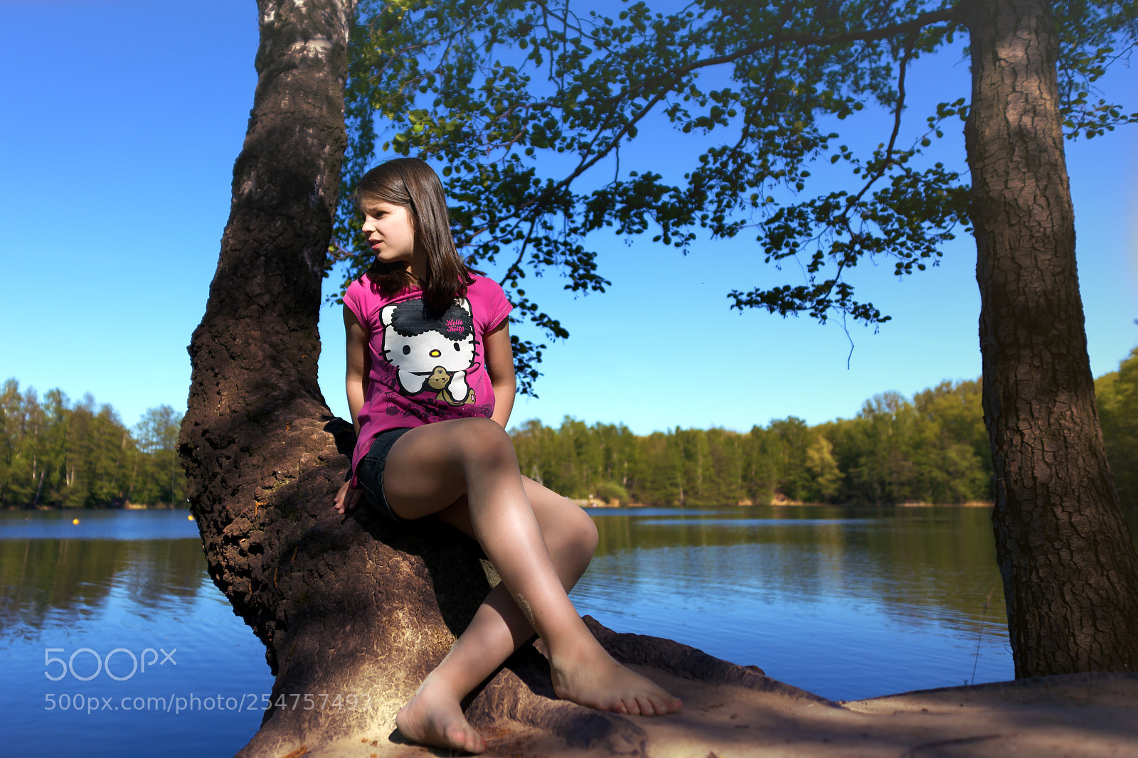 Nikon D610 sample photo. Sun photography