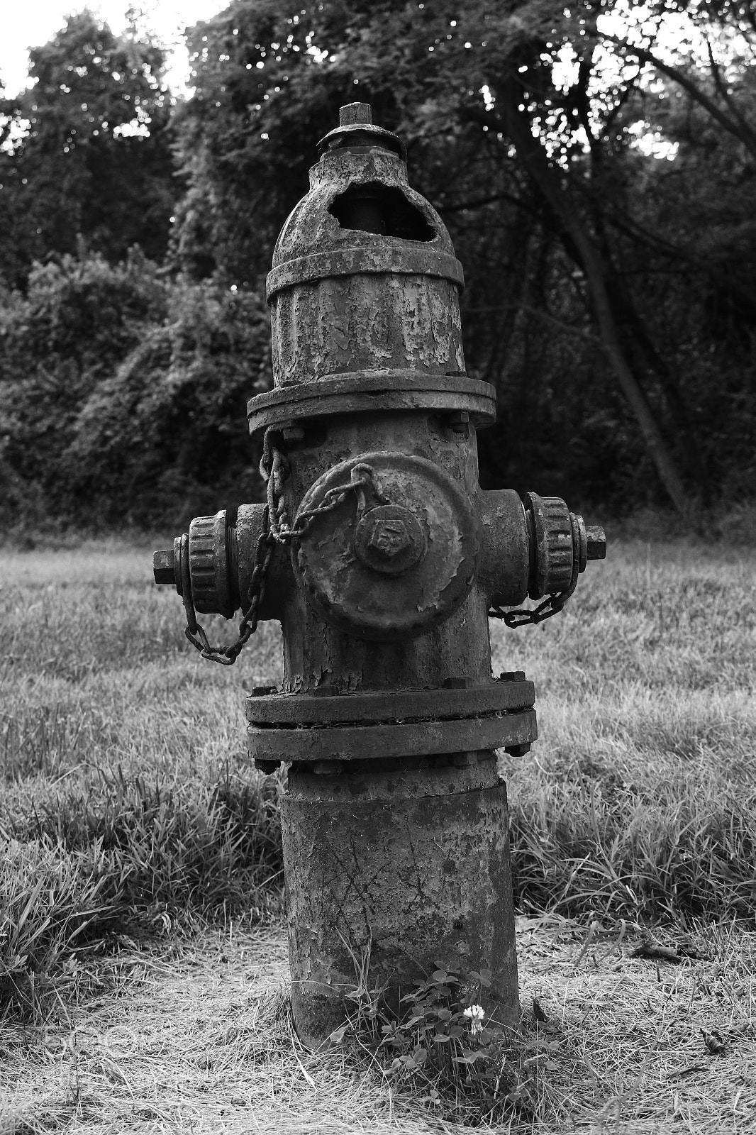 Canon EOS 600D (Rebel EOS T3i / EOS Kiss X5) sample photo. Abandoned hydrant photography