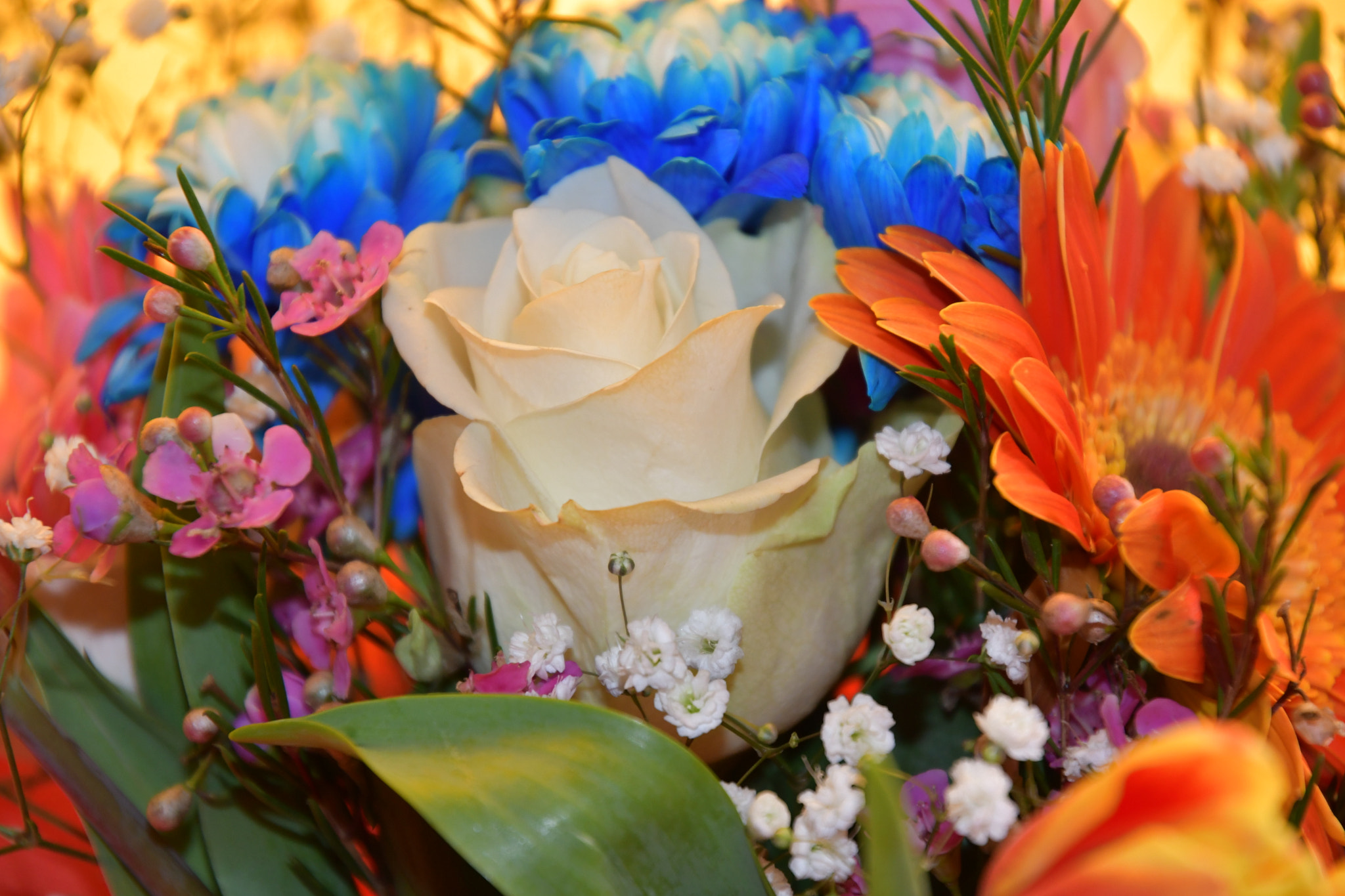 Nikon D7500 sample photo. A colourful bouquet! photography