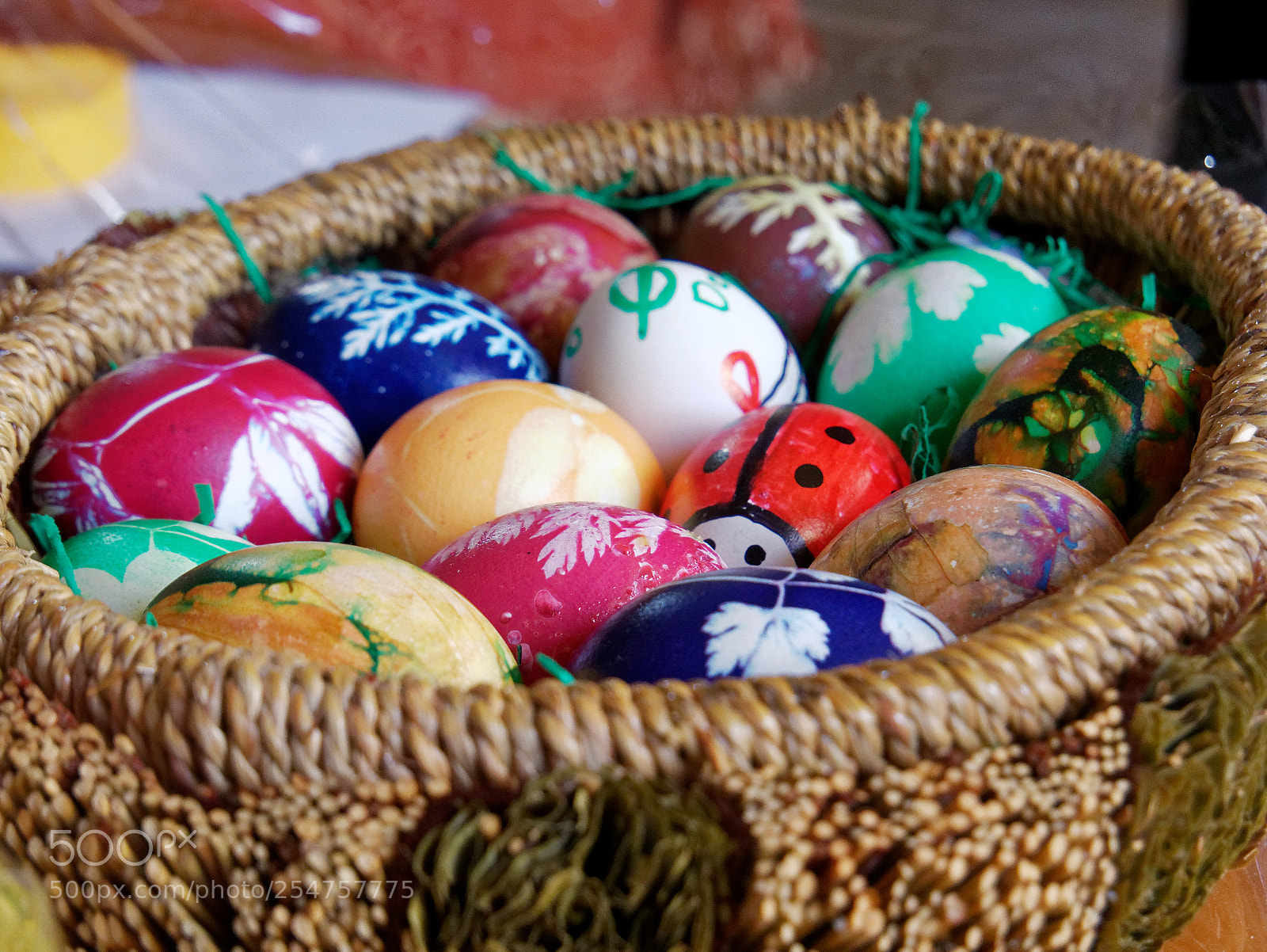 Panasonic Lumix DMC-G85 (Lumix DMC-G80) sample photo. Choose an egg... photography
