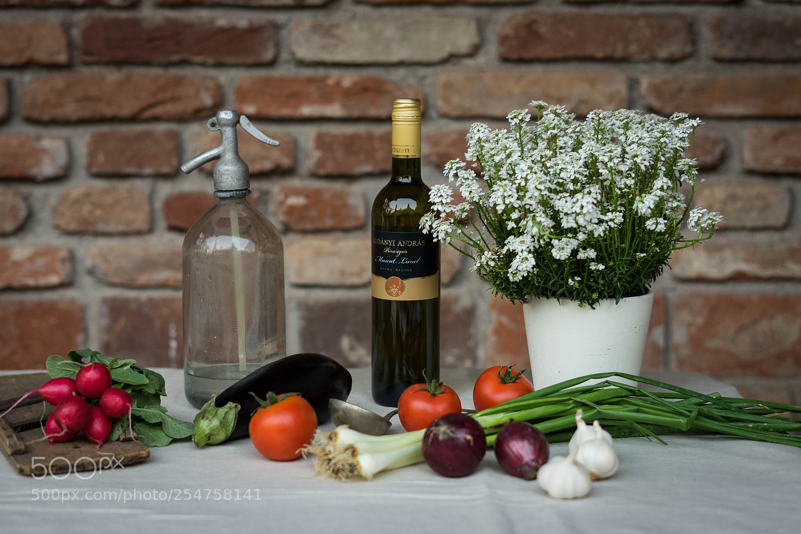 Sony a7 II sample photo. Untitled photography
