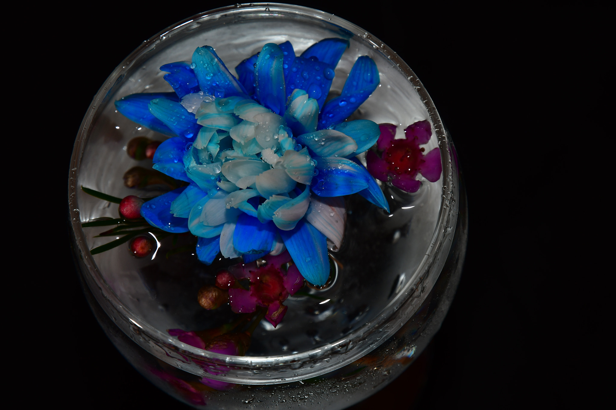 Nikon D7500 sample photo. Floating into water... photography