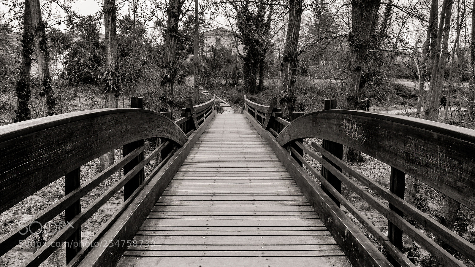 Fujifilm X-T10 sample photo. Puenta de madera photography