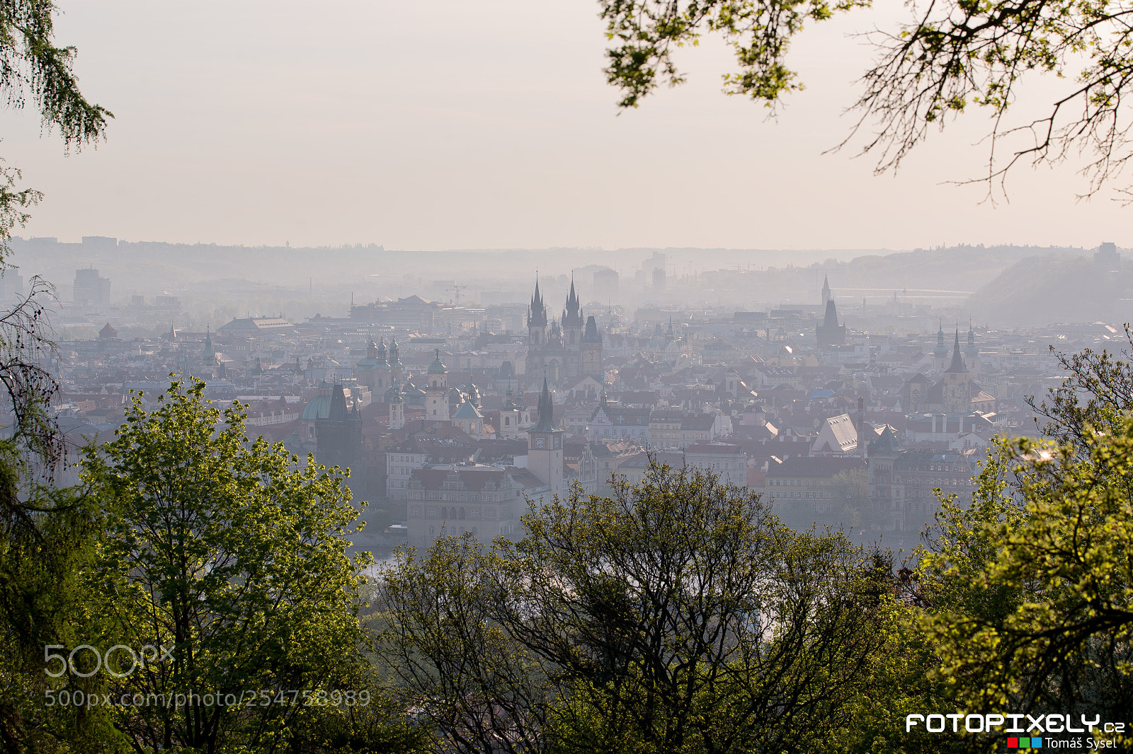 Nikon D600 sample photo. Ranní praha / prague morning photography