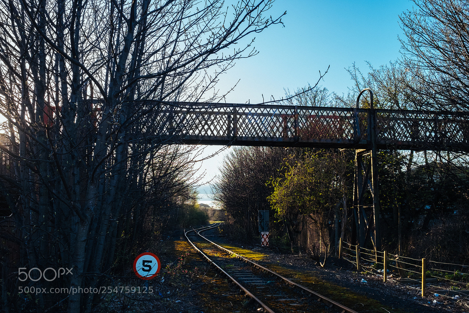 Fujifilm X-E2 sample photo. Tracks and paths photography