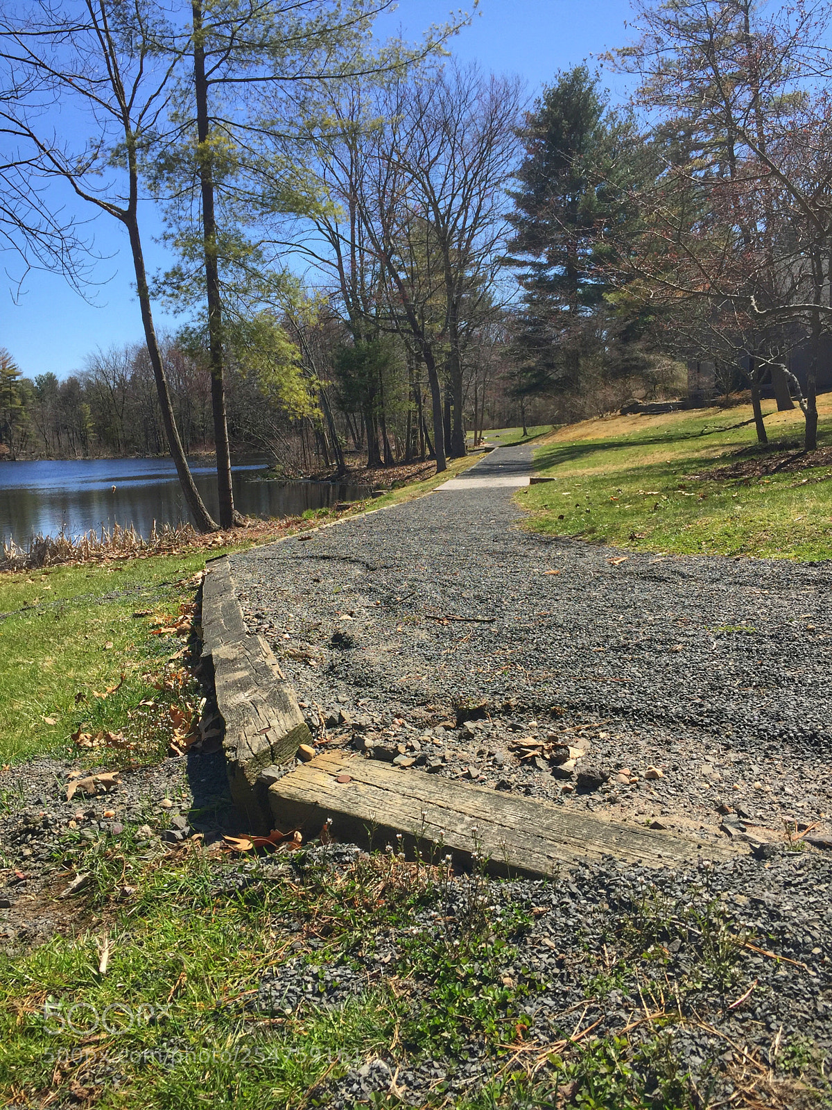 Apple iPhone 6 Plus sample photo. Earth day photography