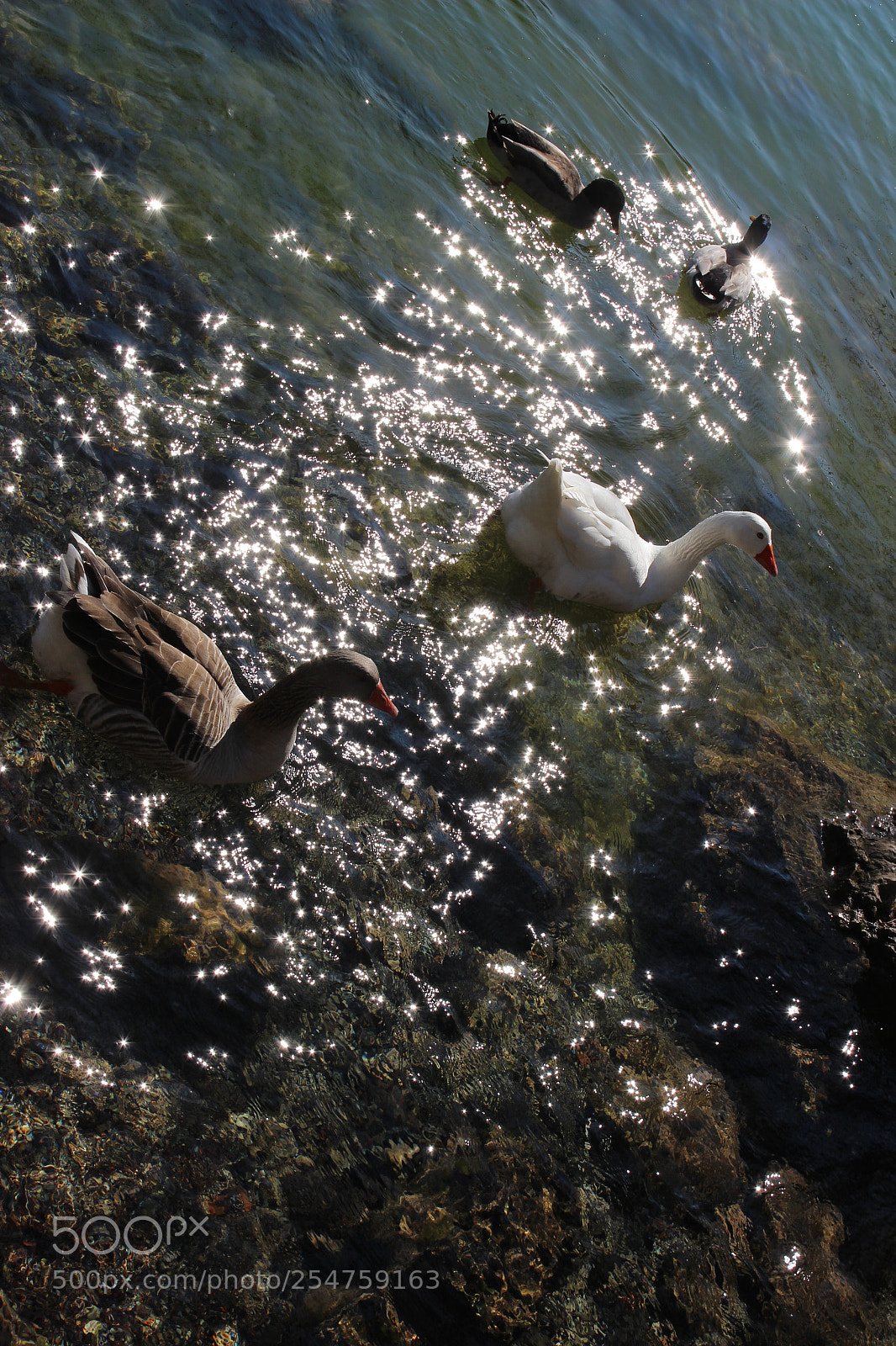 Canon EOS 600D (Rebel EOS T3i / EOS Kiss X5) sample photo. The color is its photography