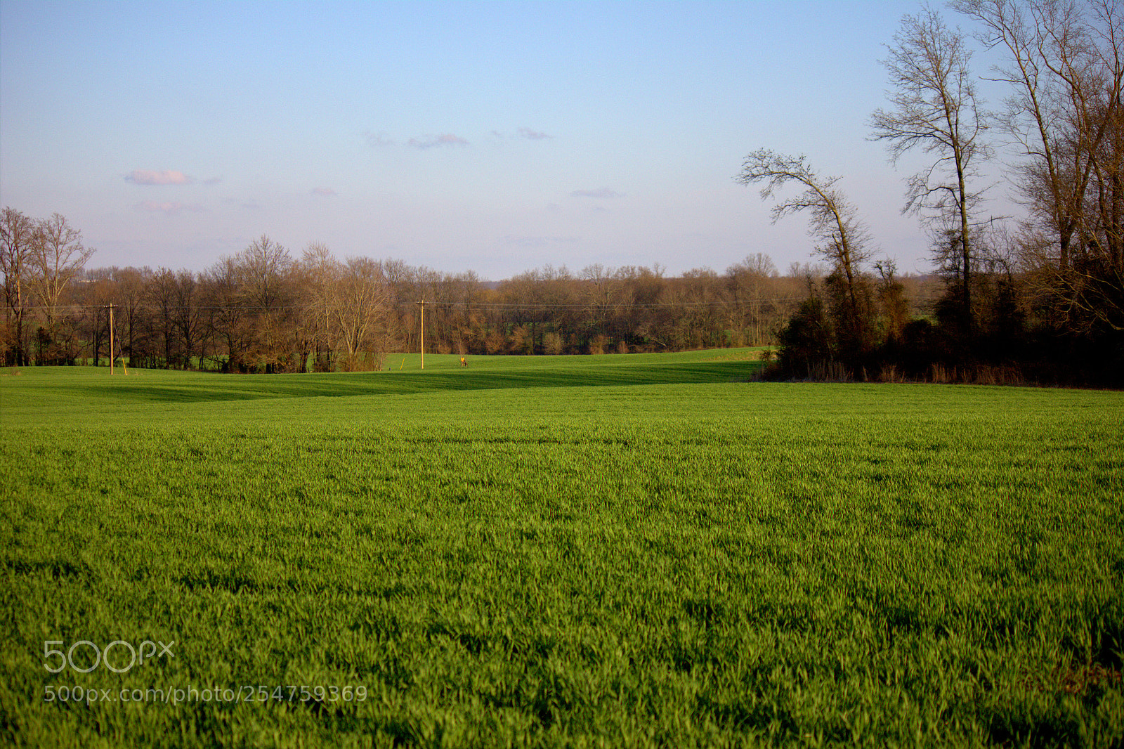Canon EOS 550D (EOS Rebel T2i / EOS Kiss X4) sample photo. Illinois farmland photography