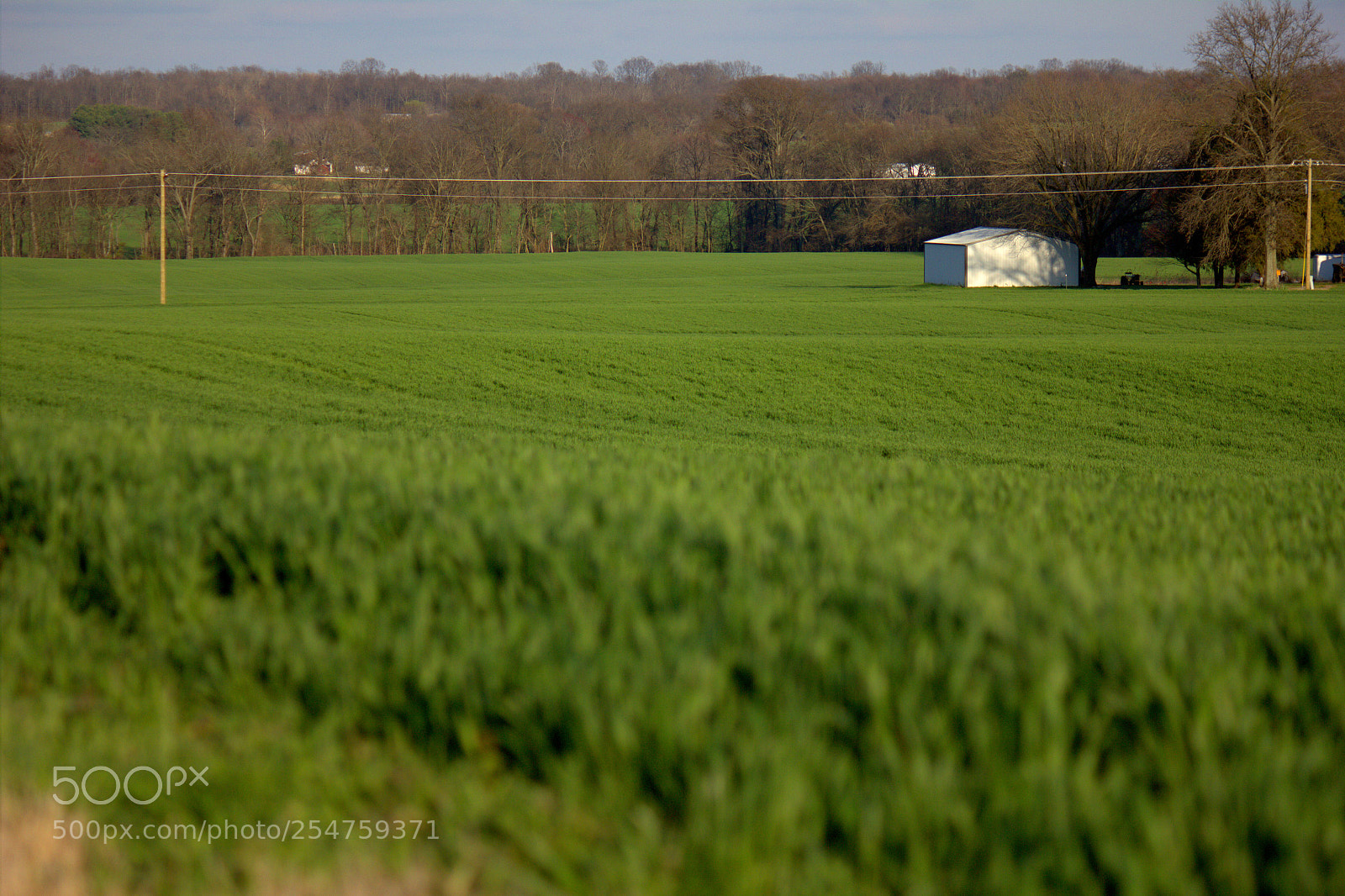 Canon EOS 550D (EOS Rebel T2i / EOS Kiss X4) sample photo. Illinois farmland photography