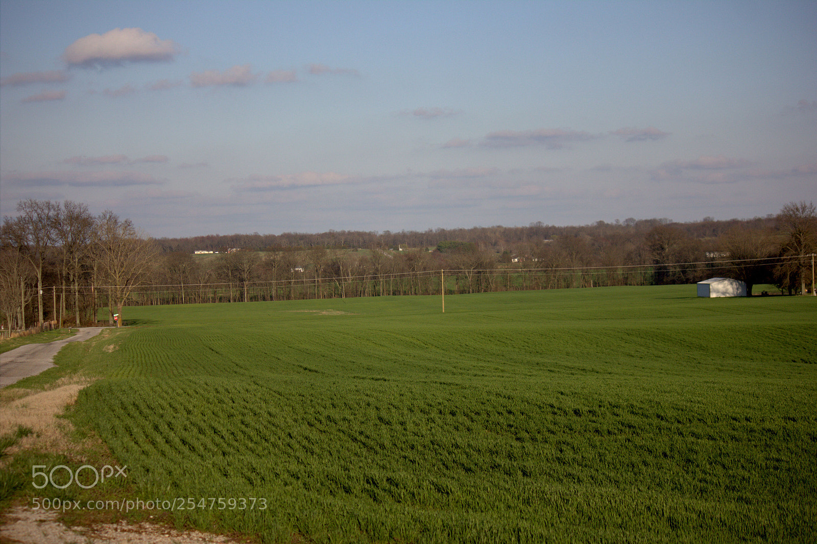 Canon EOS 550D (EOS Rebel T2i / EOS Kiss X4) sample photo. Illinois farmland photography