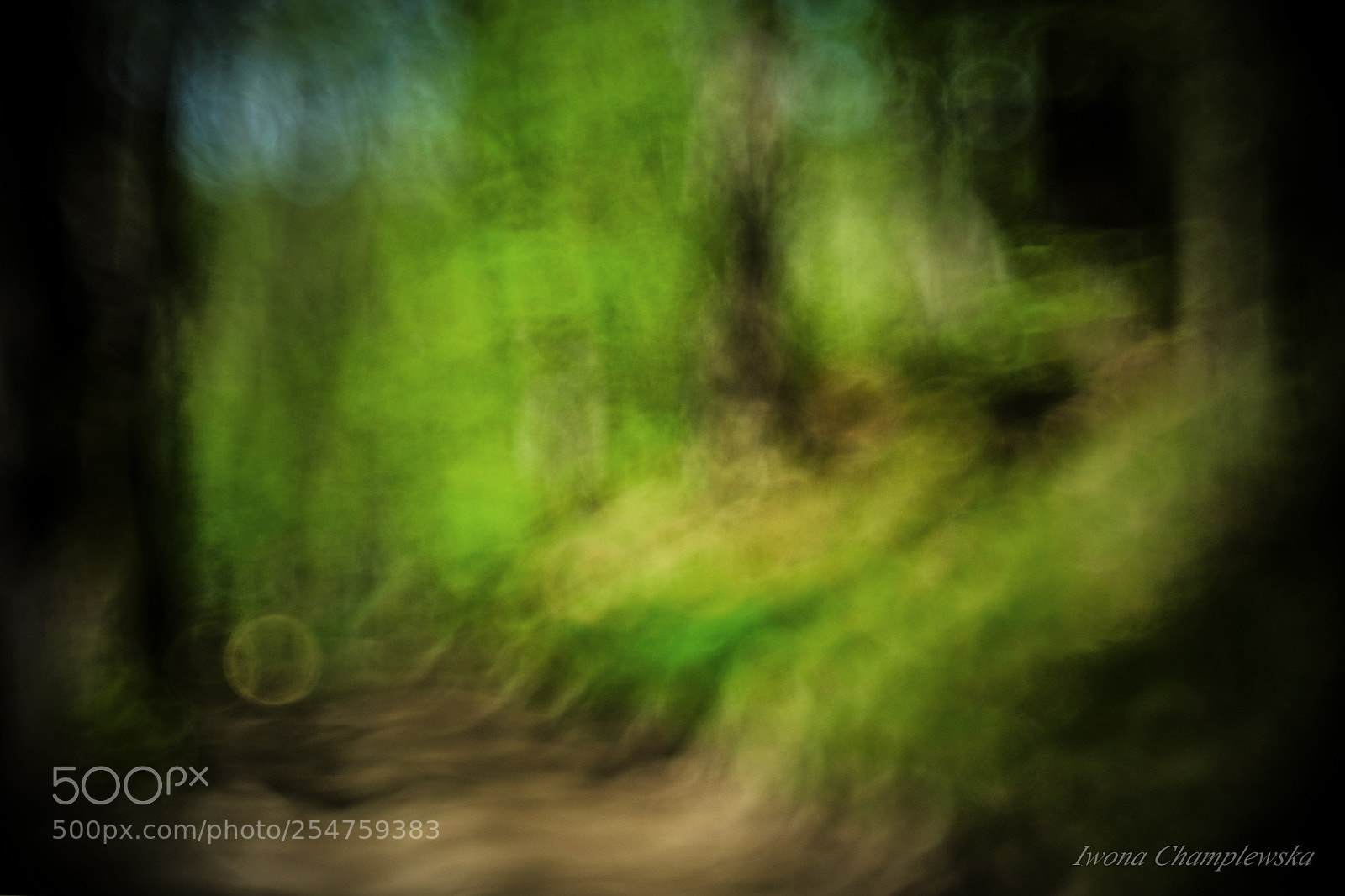 Fujifilm X-E2 sample photo. Spring in the forest photography