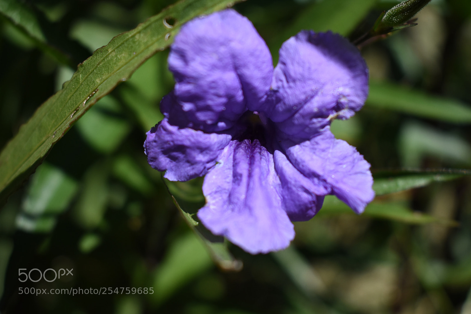 Nikon D3400 sample photo. 325.jpg photography