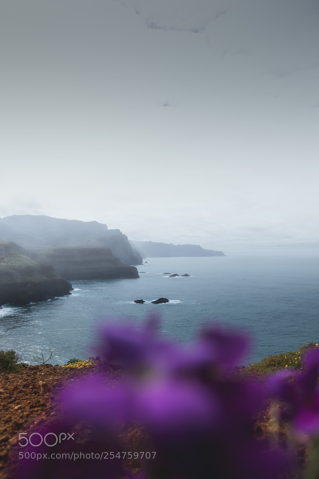 Canon EOS 6D Mark II sample photo. Madeira photography