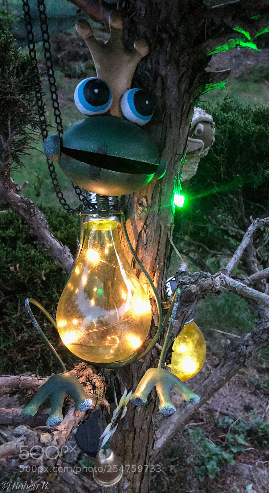 Apple iPhone X sample photo. Magic frog ? photography