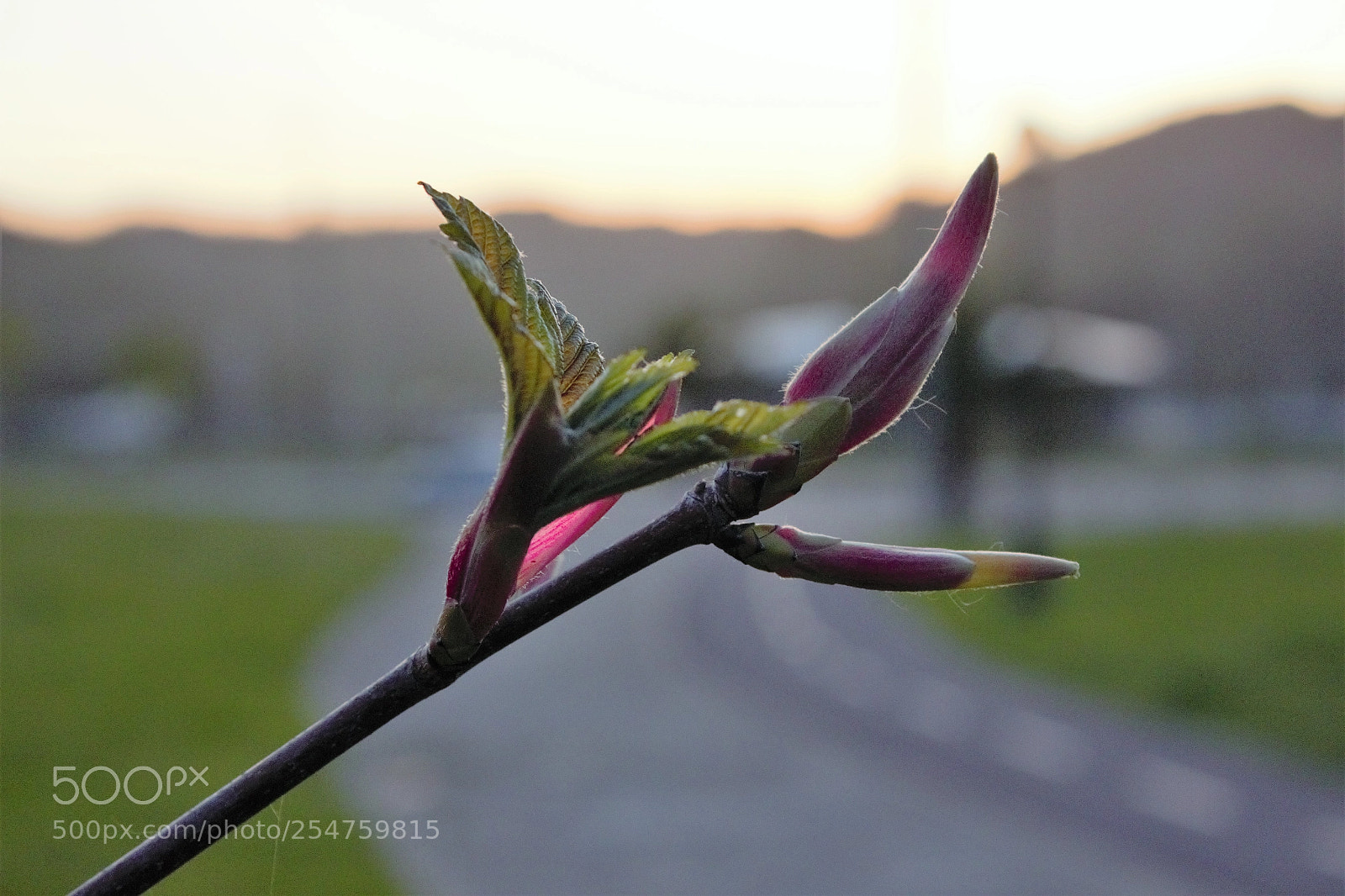 Canon EOS 600D (Rebel EOS T3i / EOS Kiss X5) sample photo. Lore photography