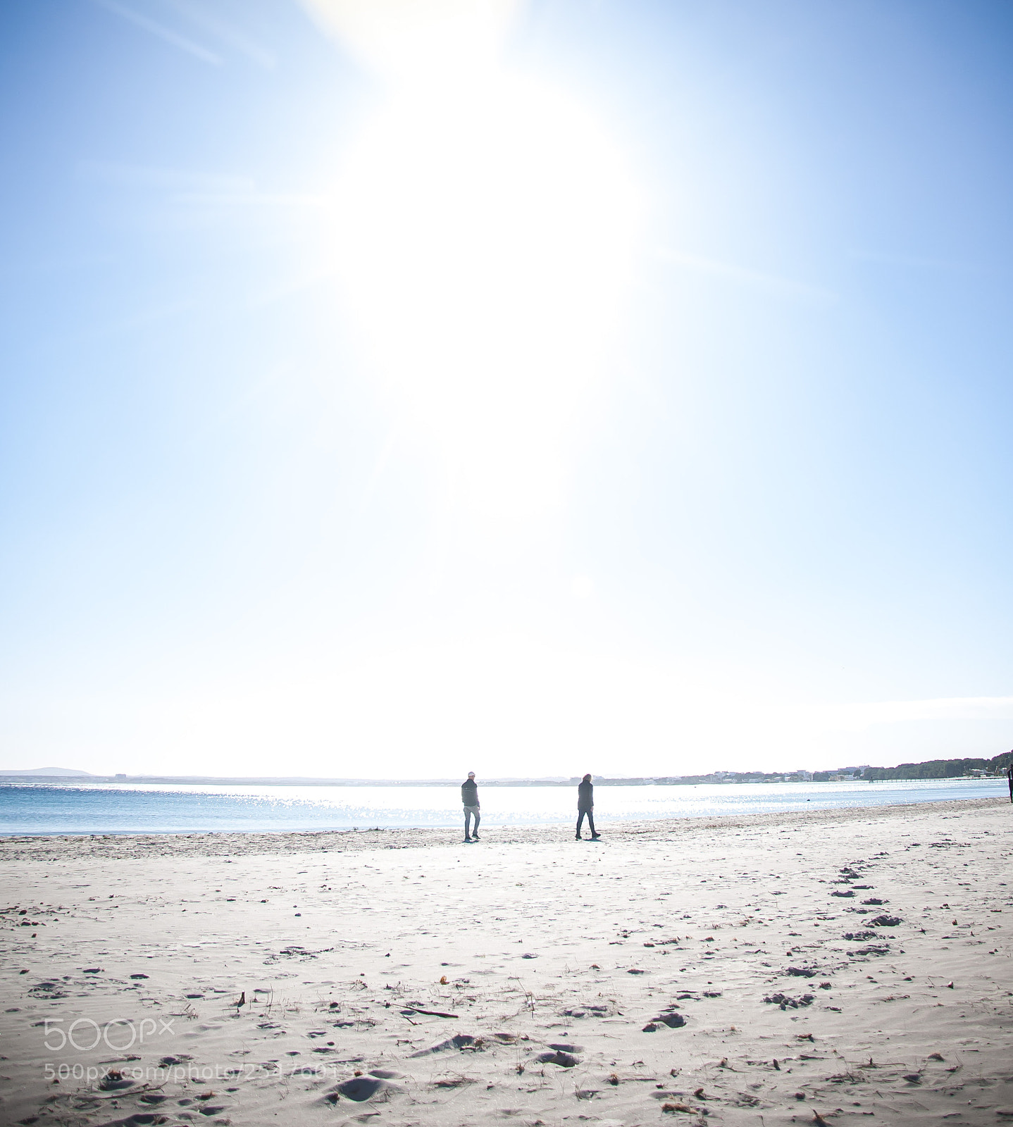 Nikon D90 sample photo. Illusions of the sunlight photography