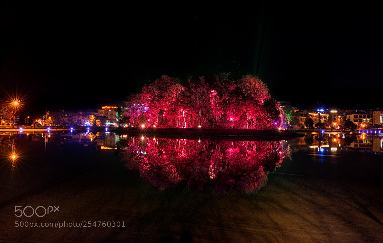 Nikon D810 sample photo. Reflection, sa pa lake photography