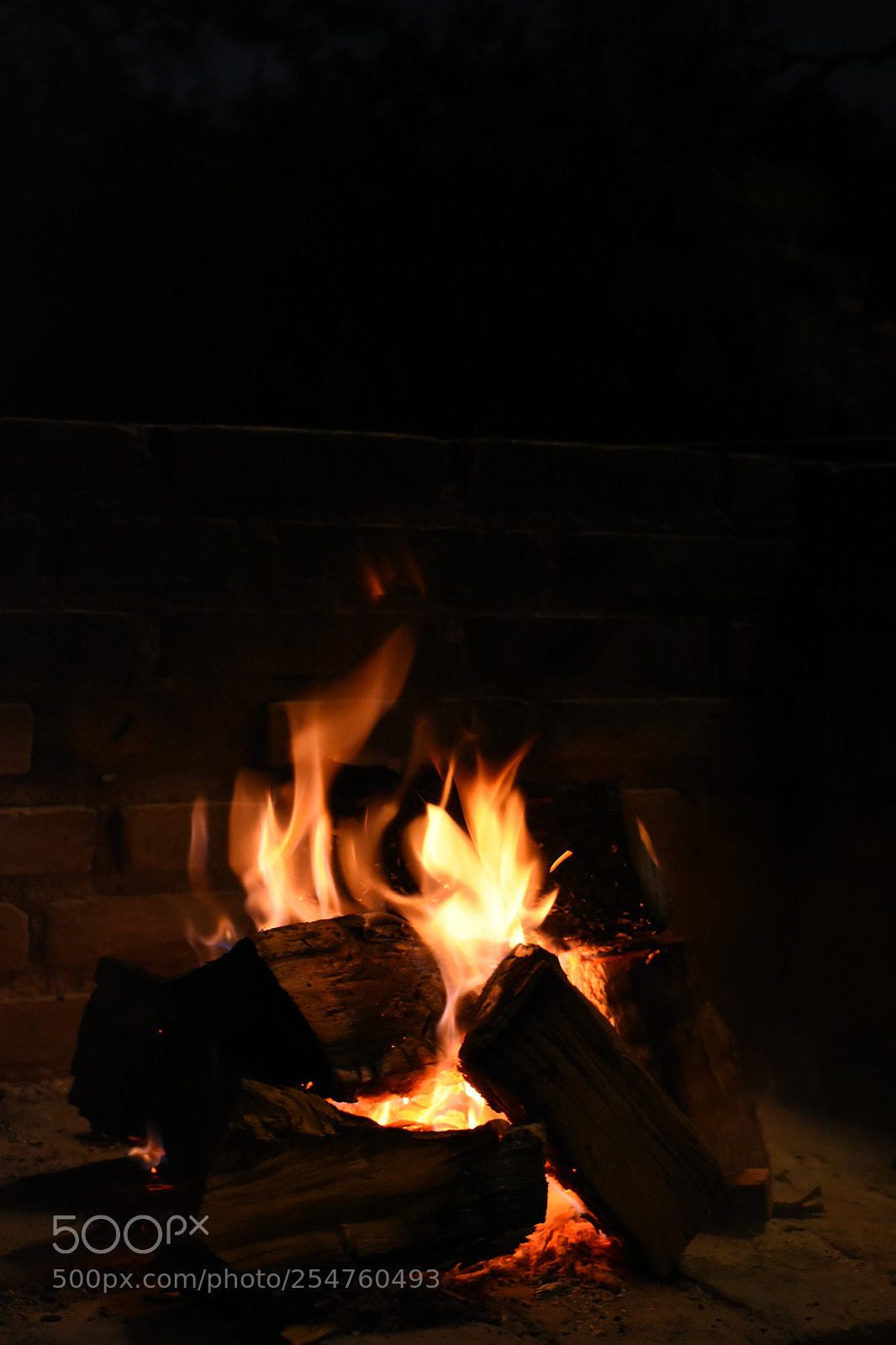 Nikon D3400 sample photo. 506.jpg photography
