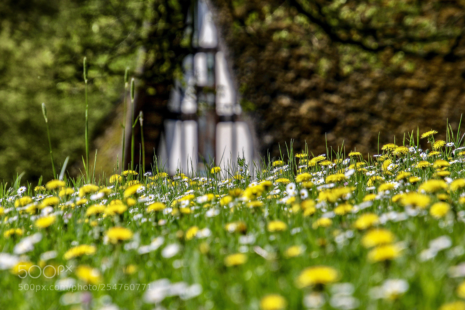 Canon EOS 1200D (EOS Rebel T5 / EOS Kiss X70 / EOS Hi) sample photo. Spring in germany photography