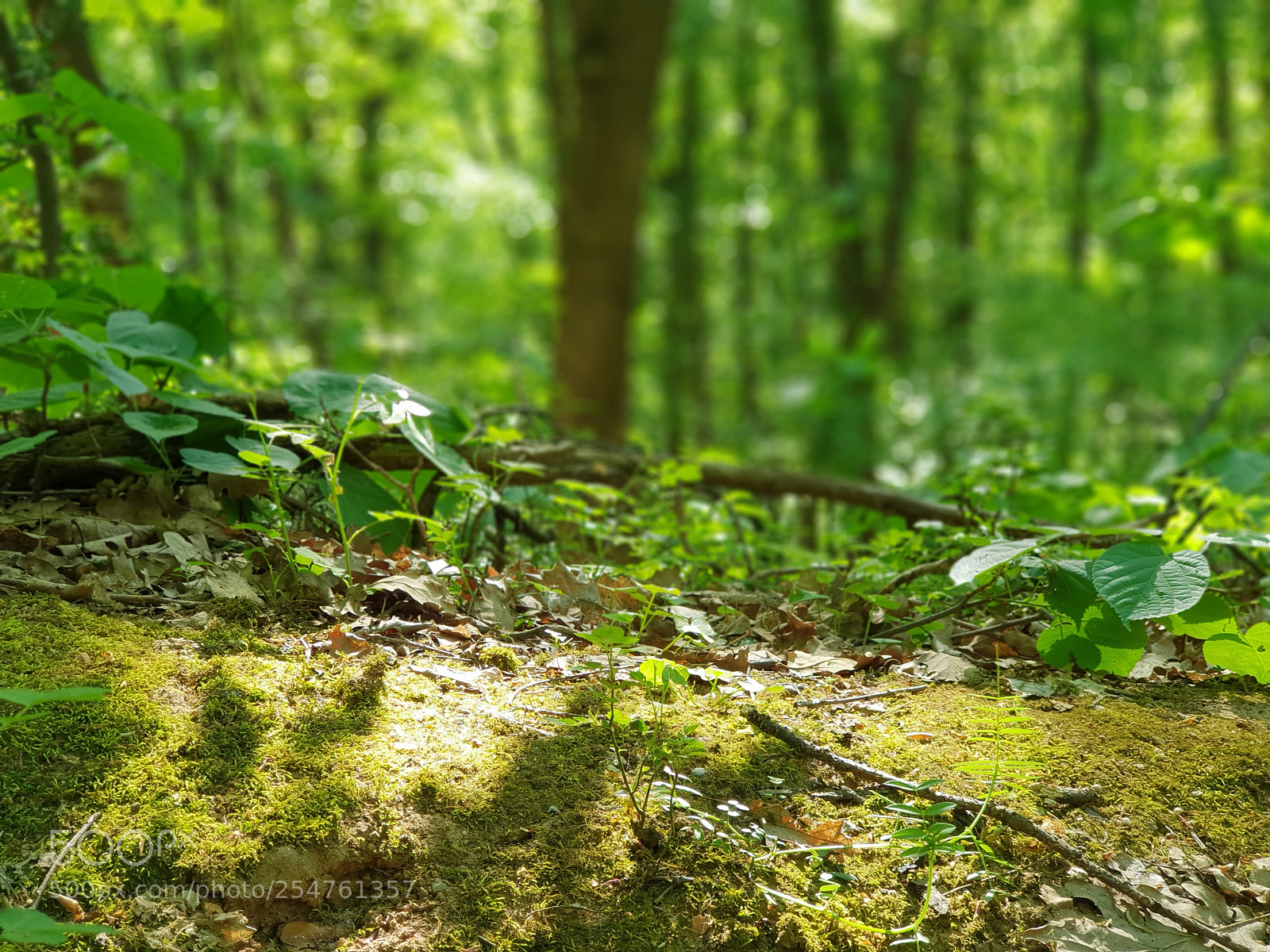 Samsung Galaxy S9+ sample photo. Samsung s9+ photo.jpg photography