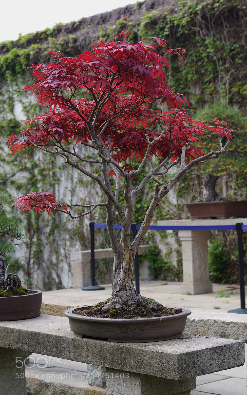 Pentax K-3 II sample photo. Chinese garden (suzhou) photography