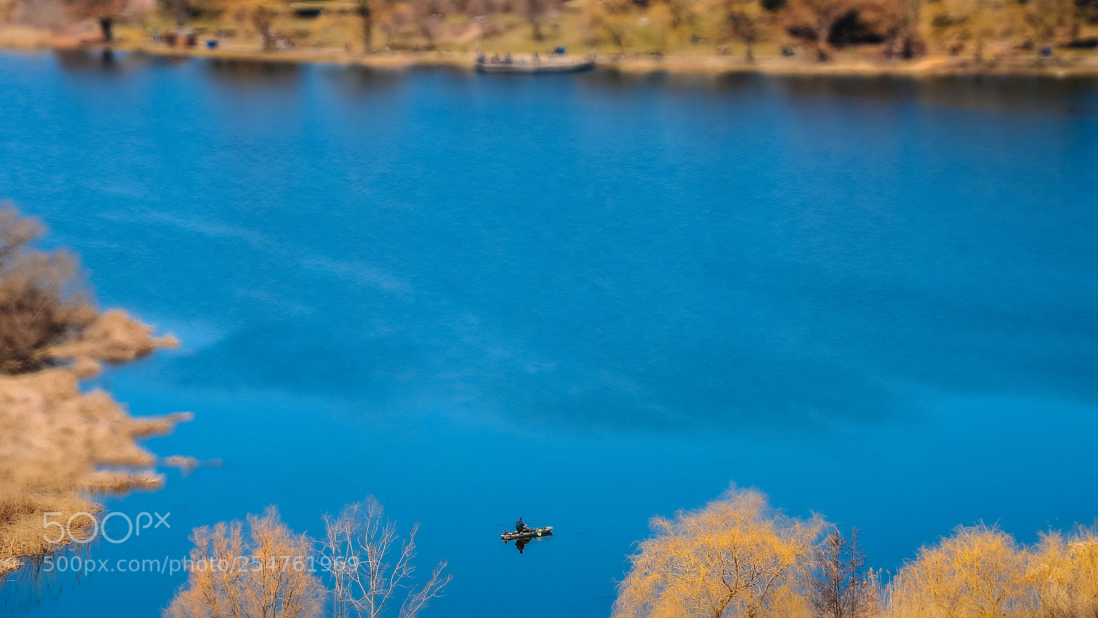 Nikon D7000 sample photo. Blue photography