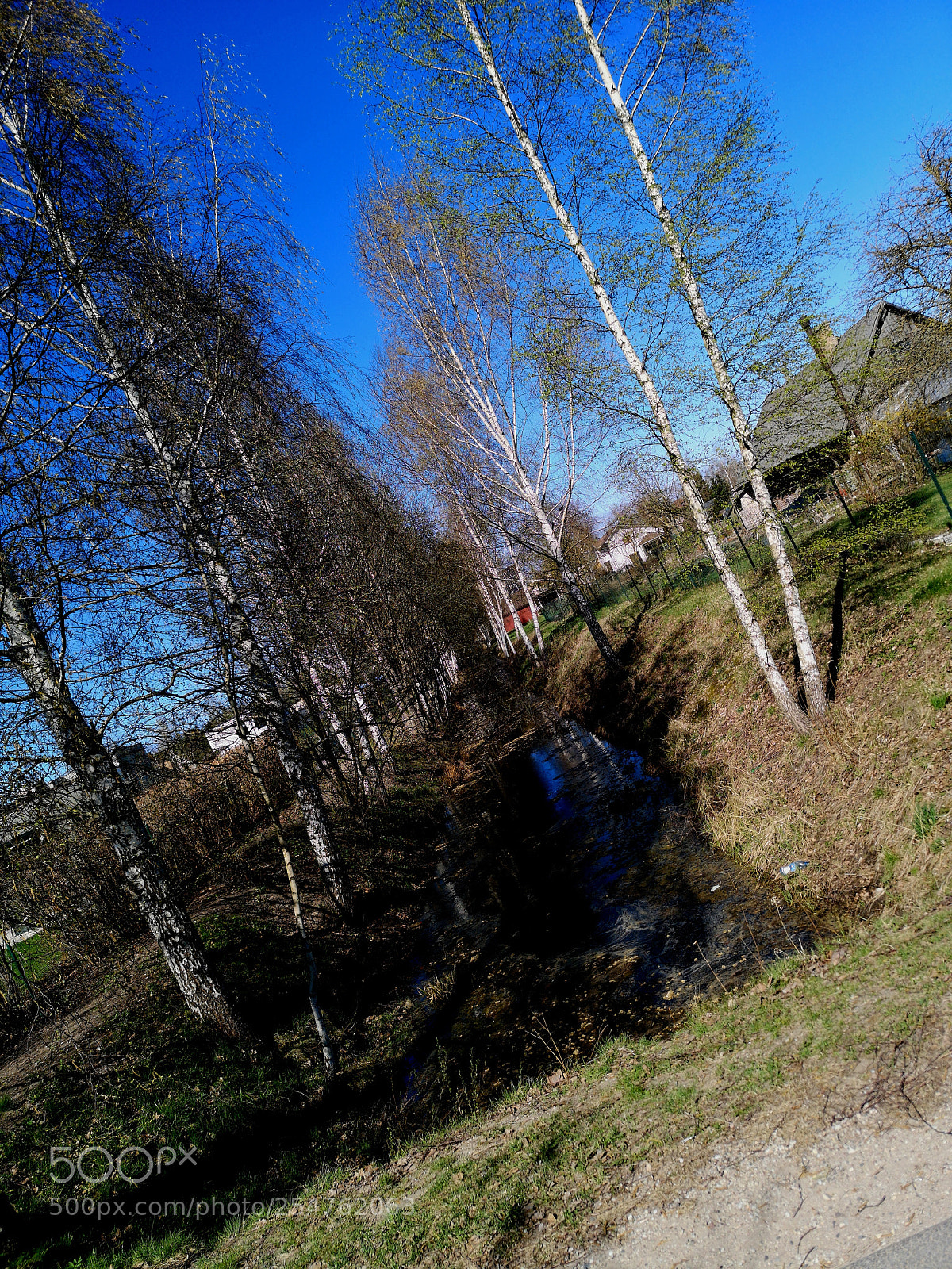 HUAWEI CLT-L29 sample photo. Untitled photography