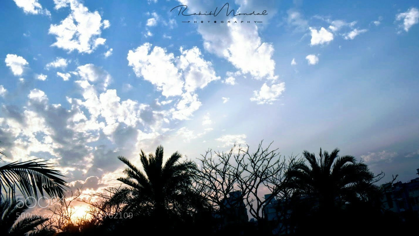 Nikon D5300 sample photo. Untitled photography