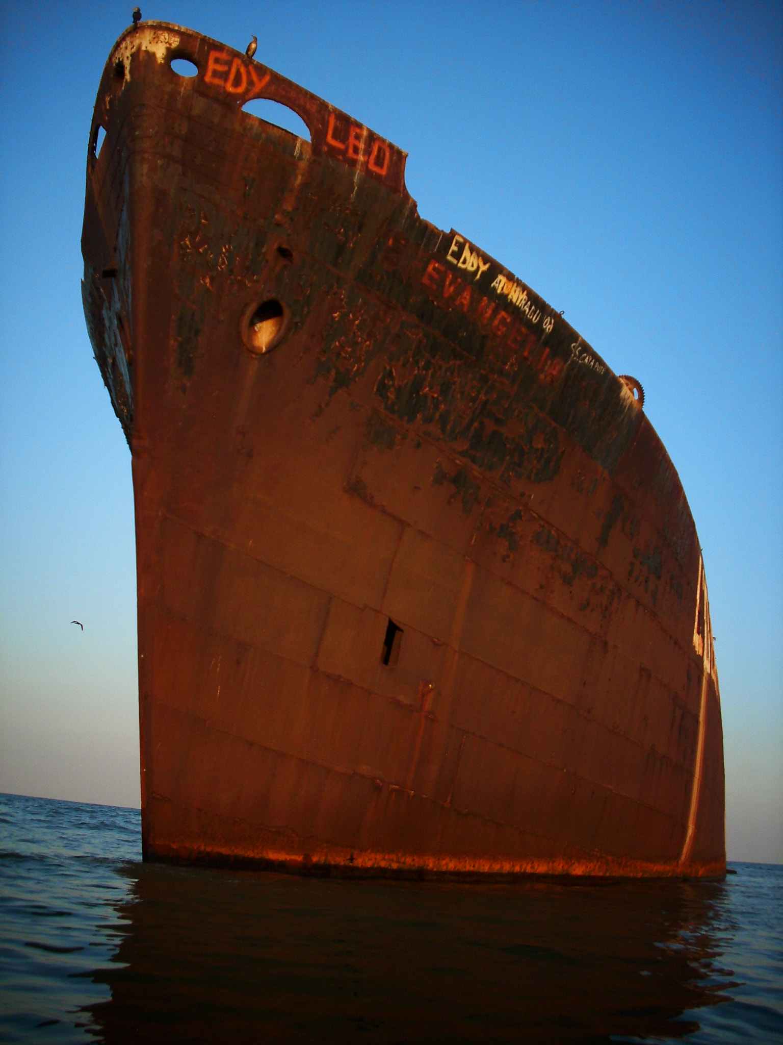 Benq DC C750 sample photo. Shipwreck photography