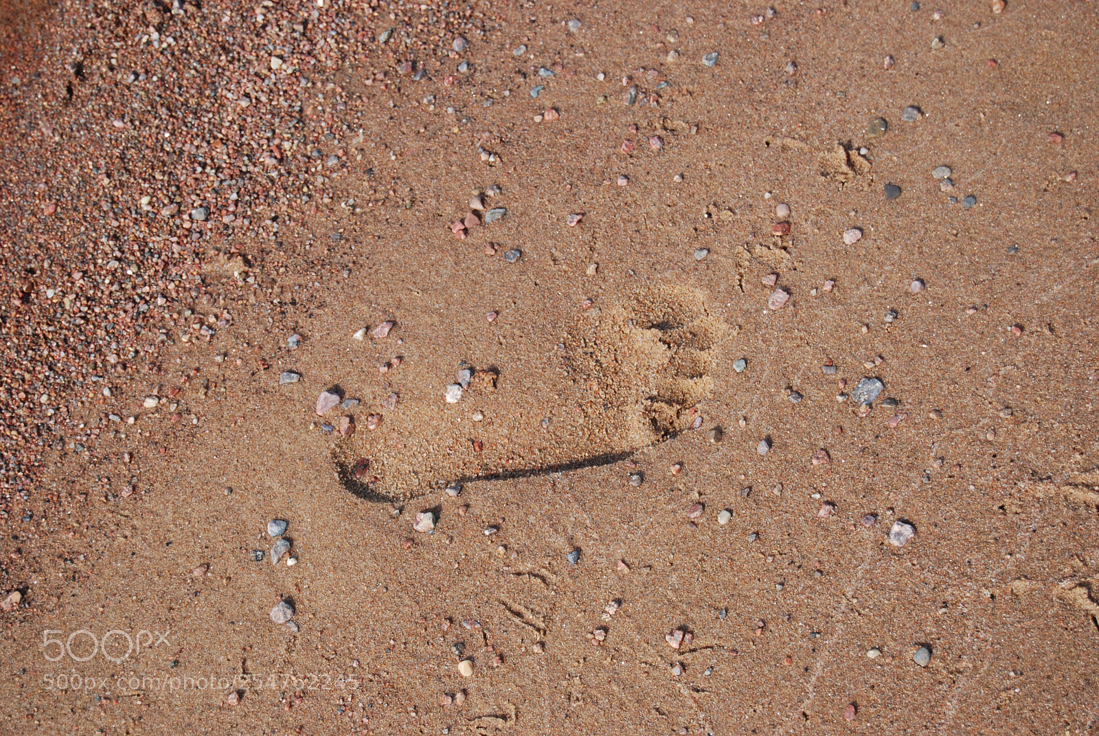 Nikon D80 sample photo. Footprint photography