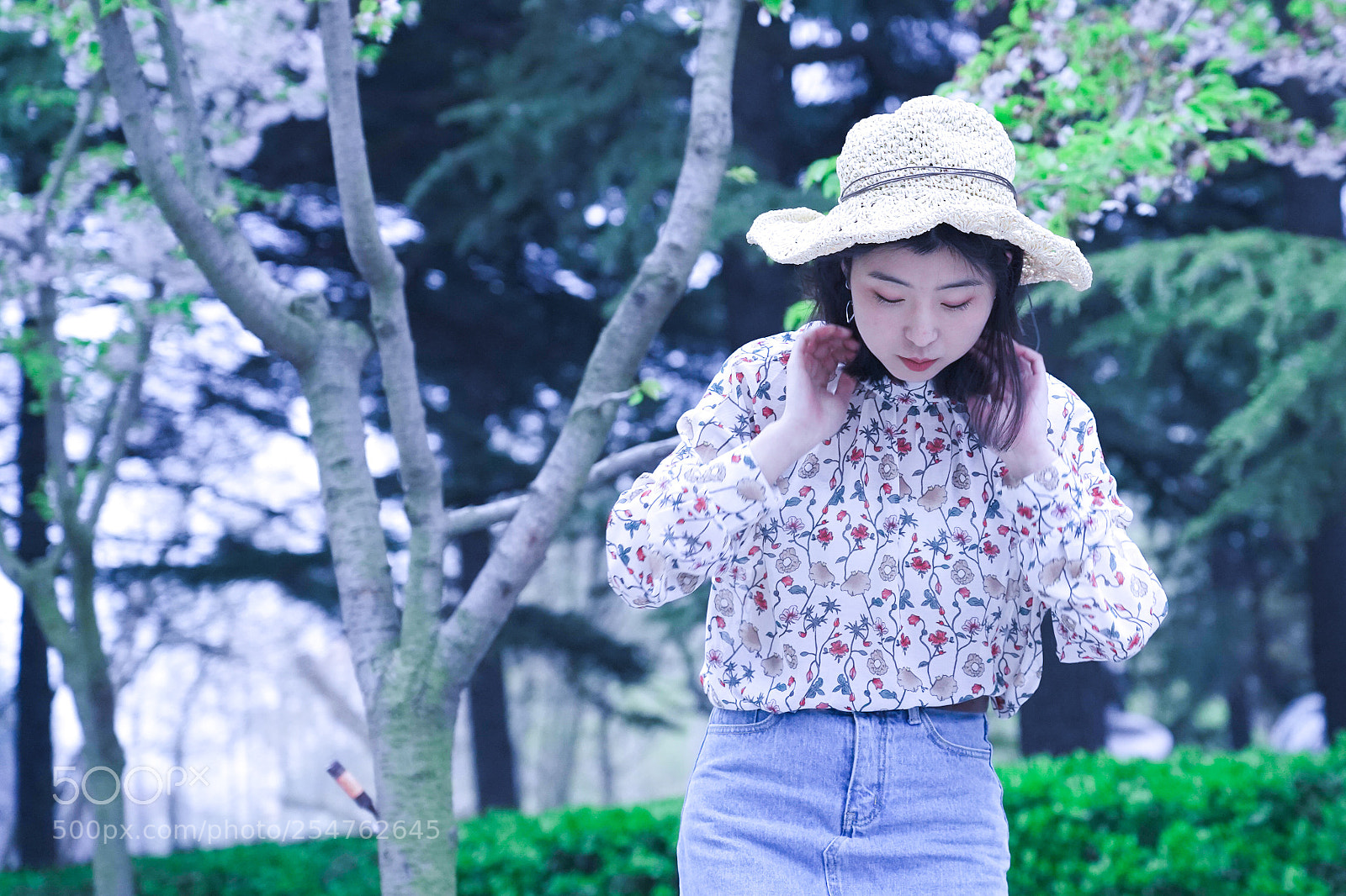 Sony a7 III sample photo. Untitled photography