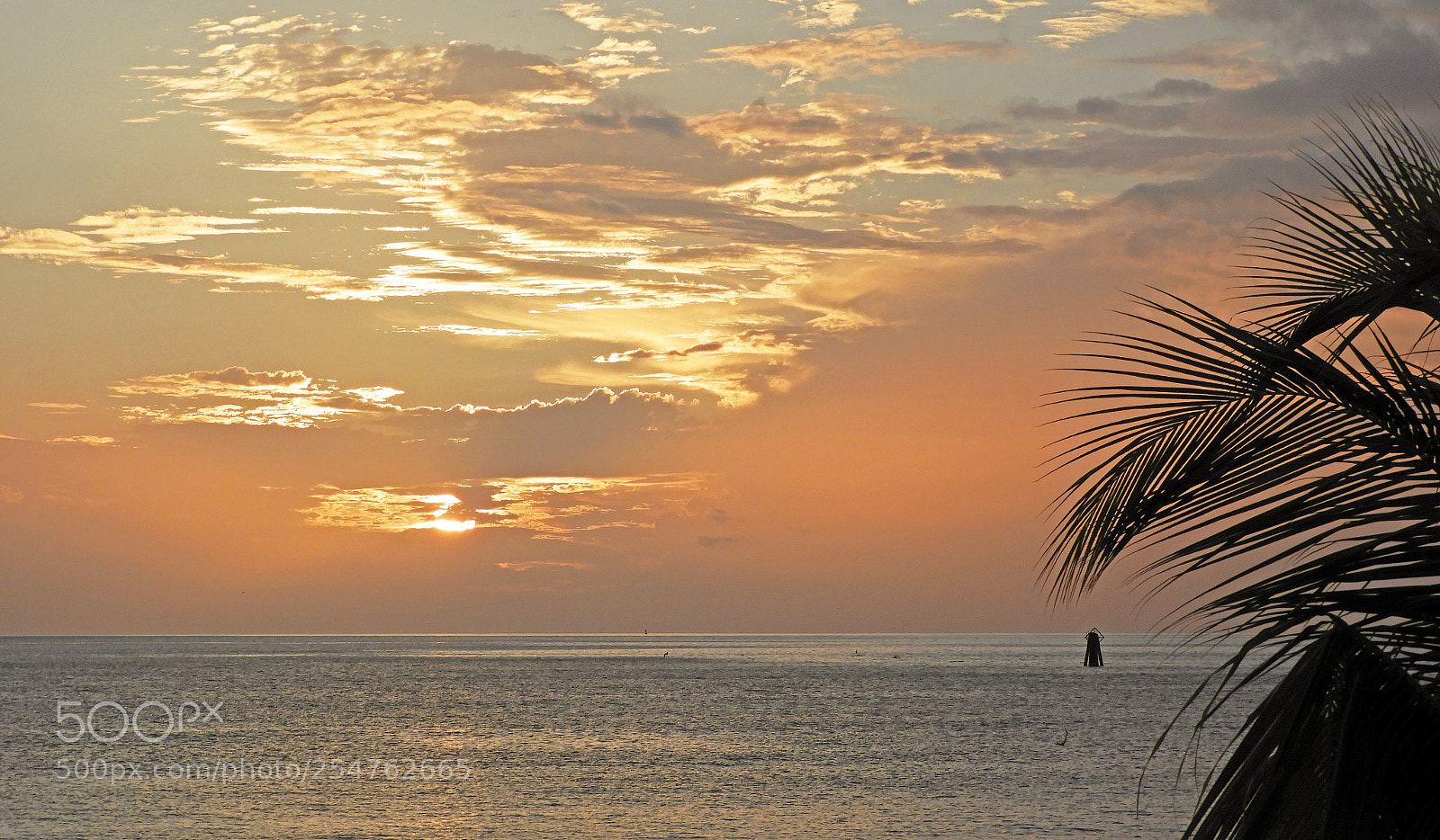 Nikon Coolpix B700 sample photo. Mayaguez sunset... photography