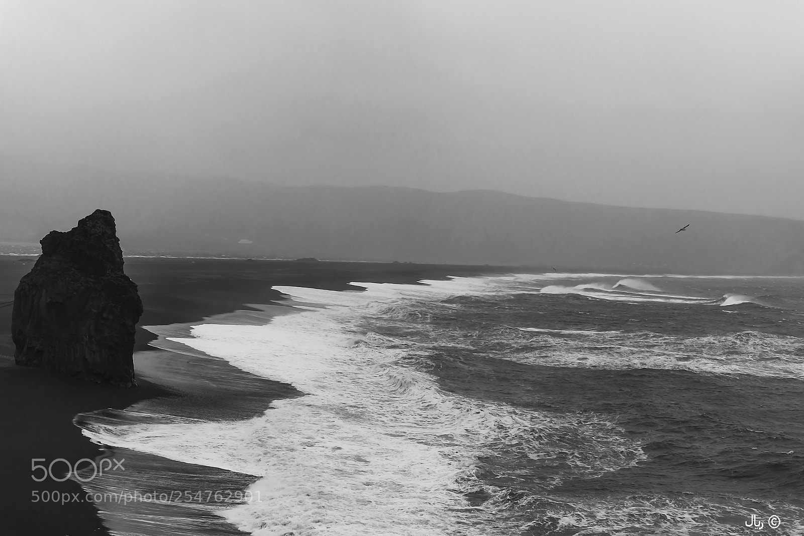 Nikon D810 sample photo. Black beach photography