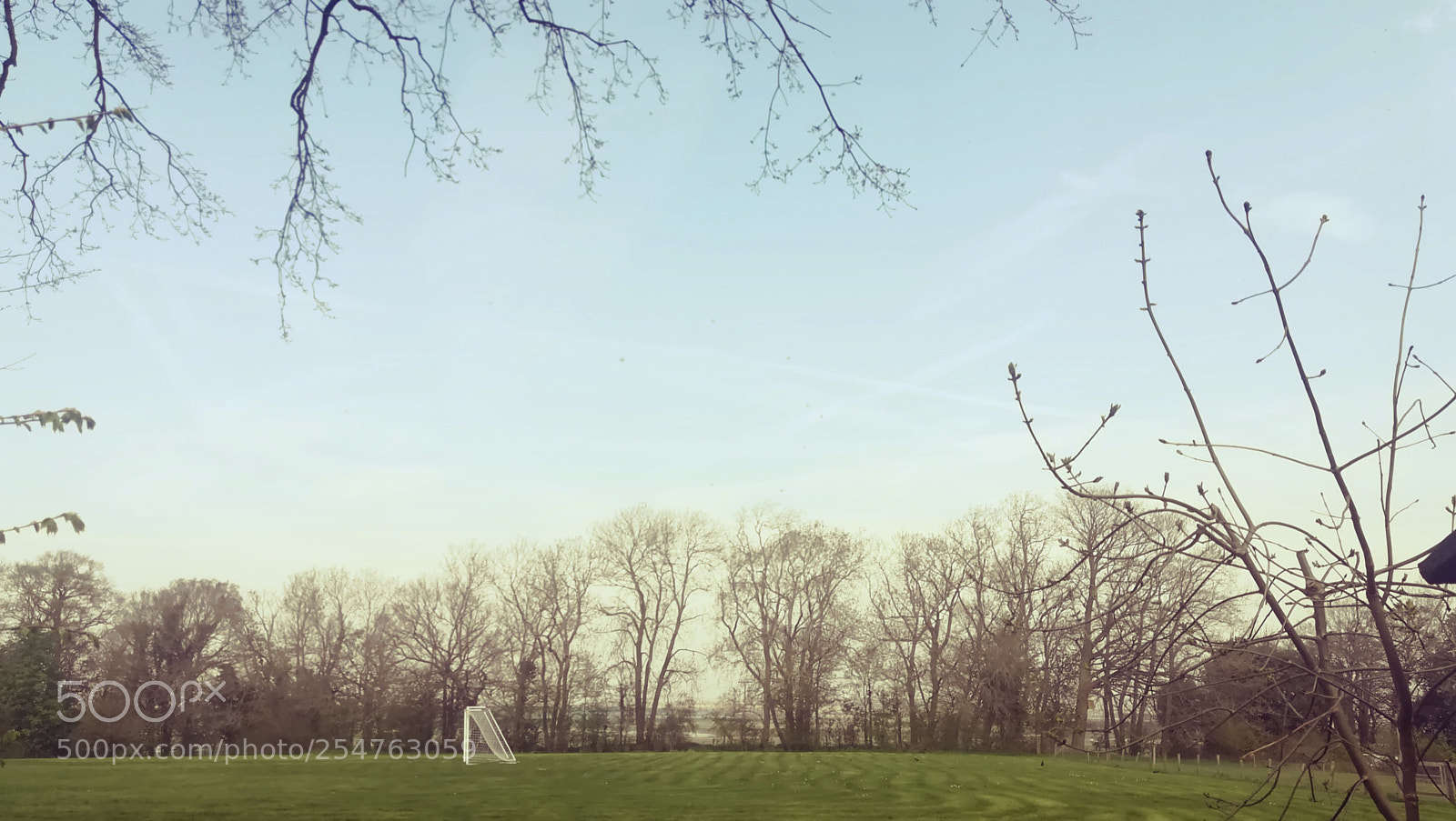 HUAWEI PRA-LX1 sample photo. Field of goals photography