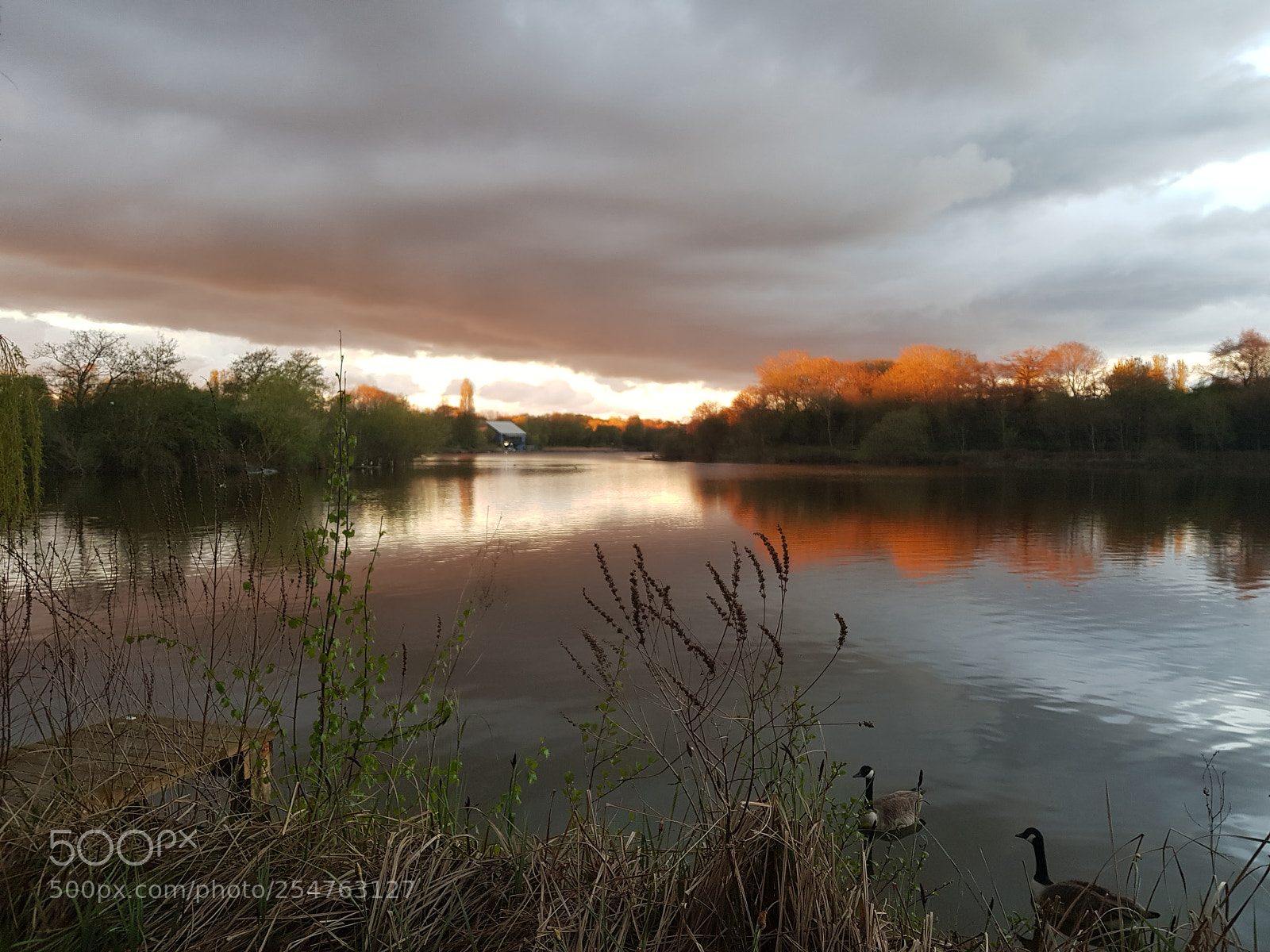 Samsung Galaxy S8+ sample photo. Lakeside photography