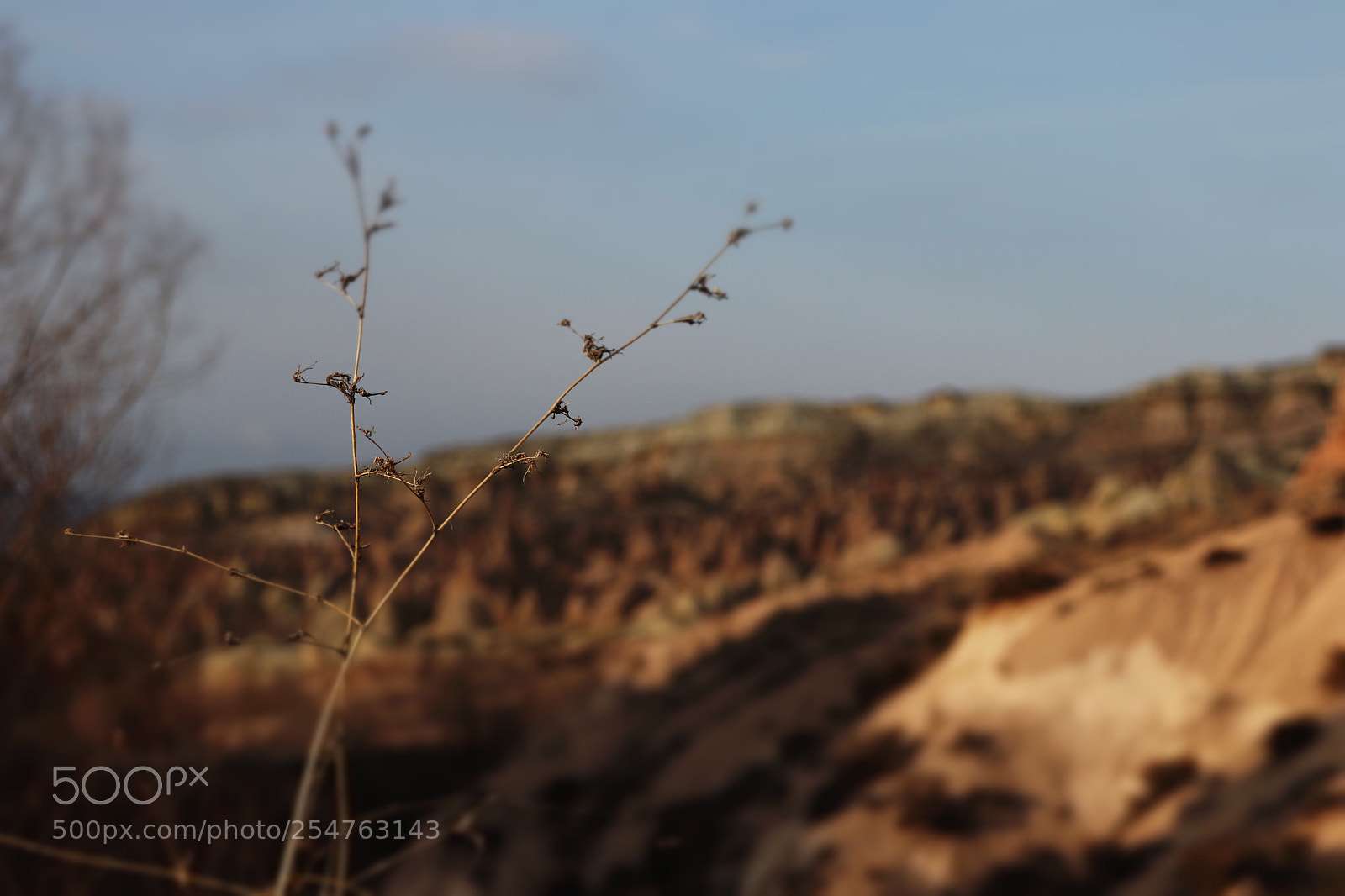 Canon EOS 77D (EOS 9000D / EOS 770D) sample photo. Untitled photography