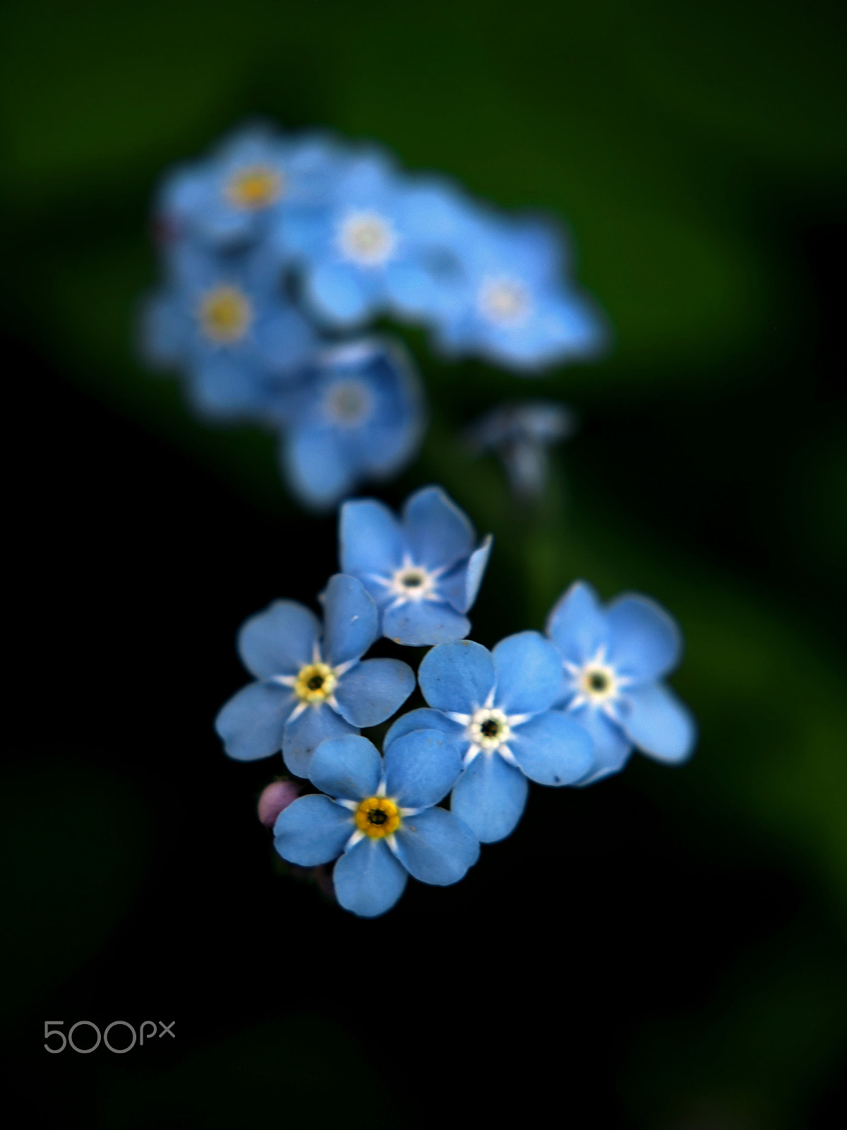 Olympus E-620 (EVOLT E-620) sample photo. #97 photography