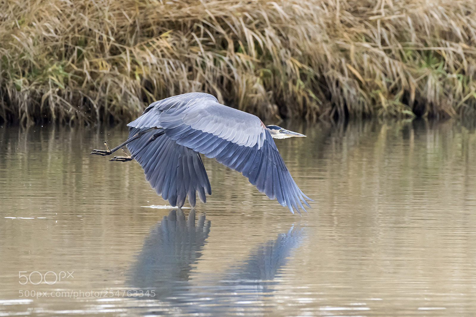 Nikon D810 sample photo. Welcome sight photography