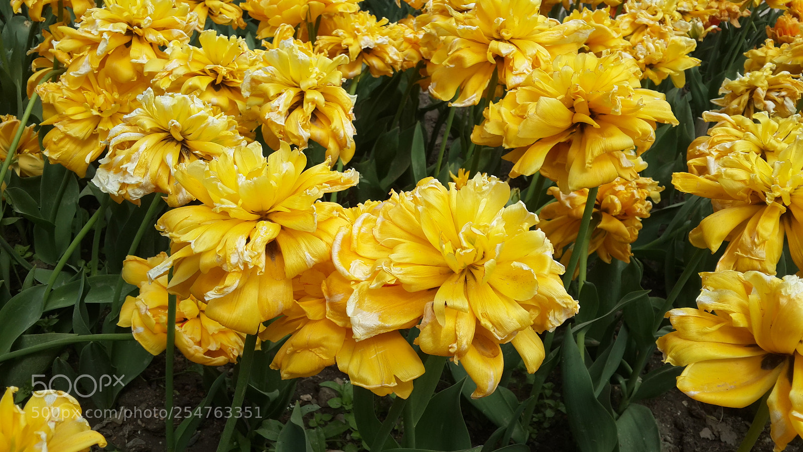 Samsung Galaxy S4 sample photo. 20180422_140925.jpg photography